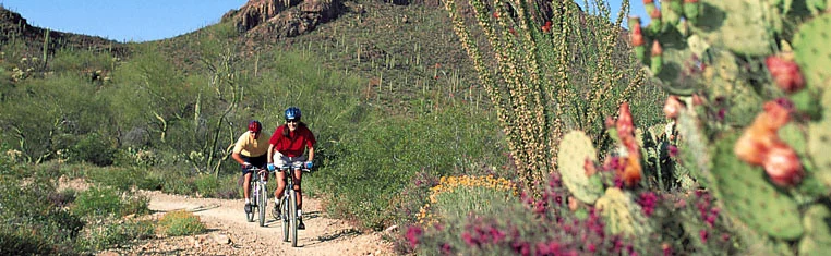 Tucson home for rent.jpg