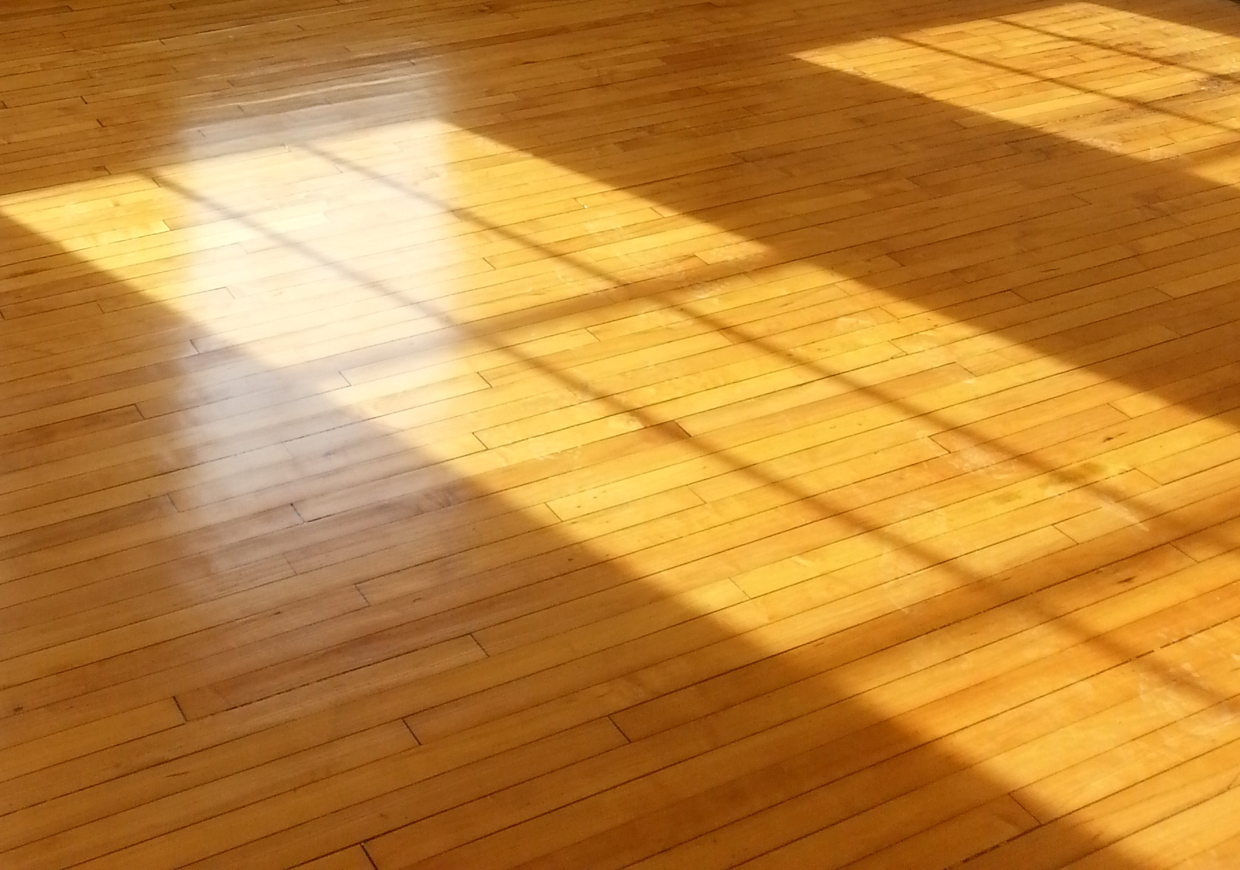 Carver-Floor.jpg
