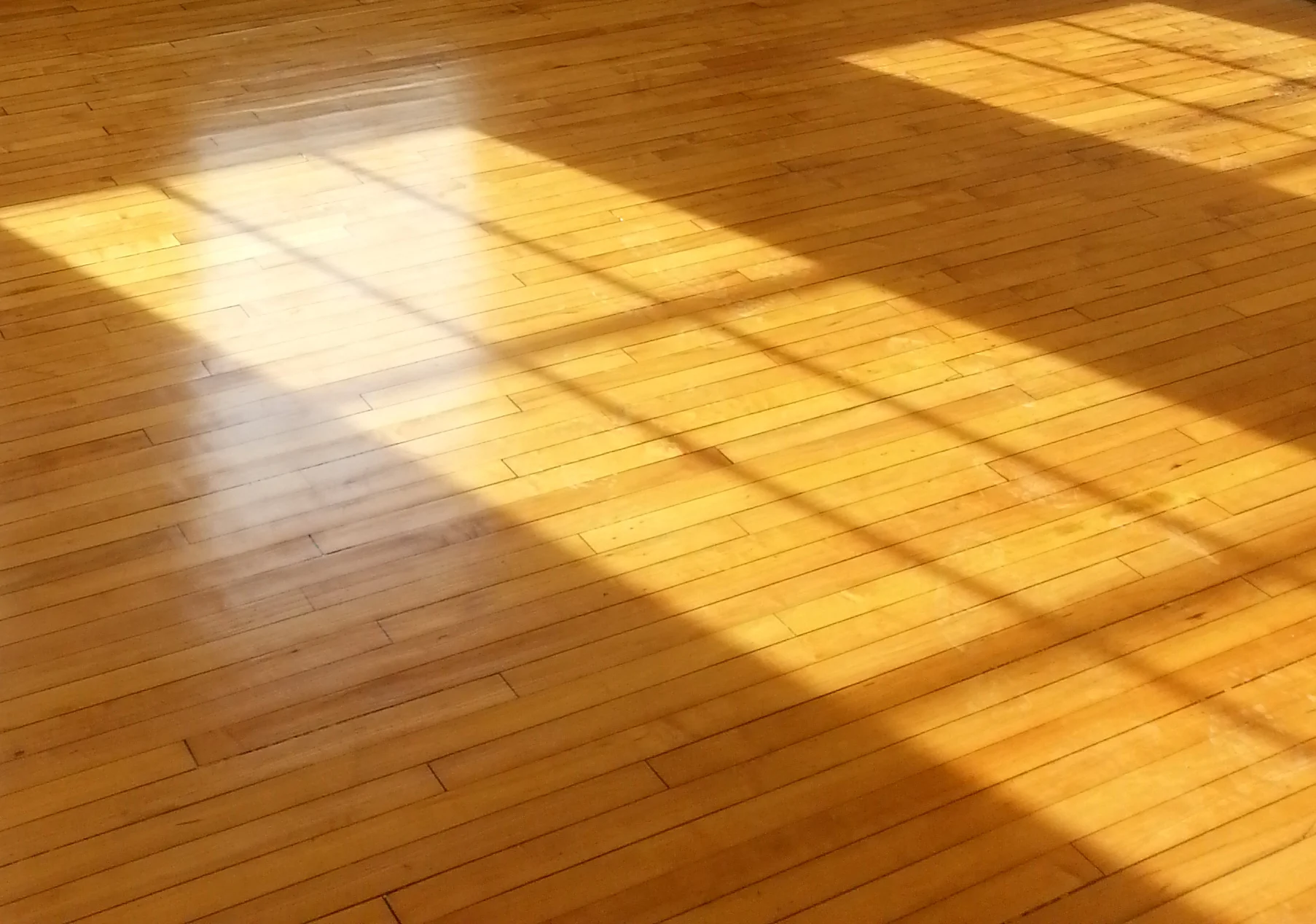 Carver-Floor.jpg