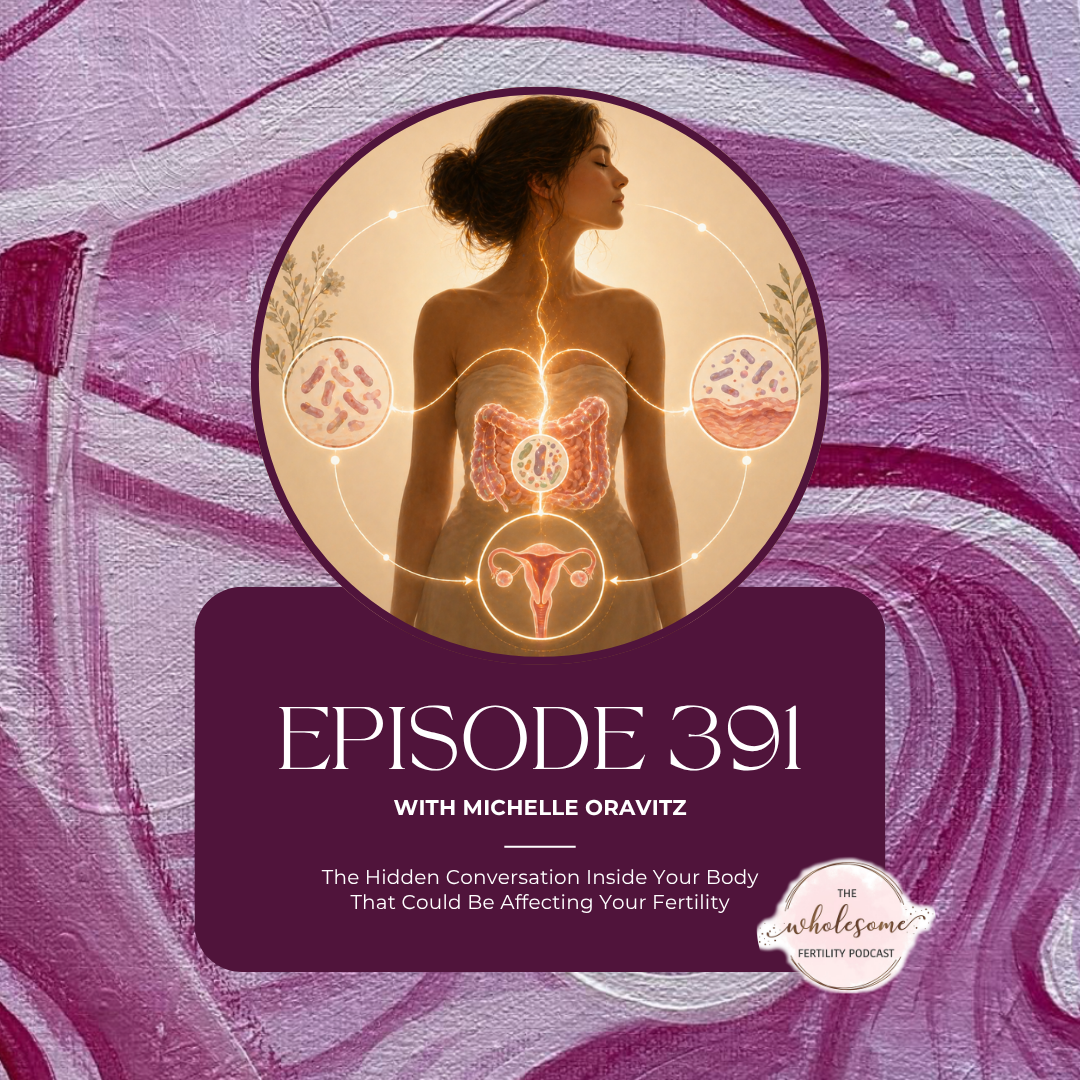 Ep 391 The Hidden Conversation Inside Your Body That Could Be Affecting Your Fertility