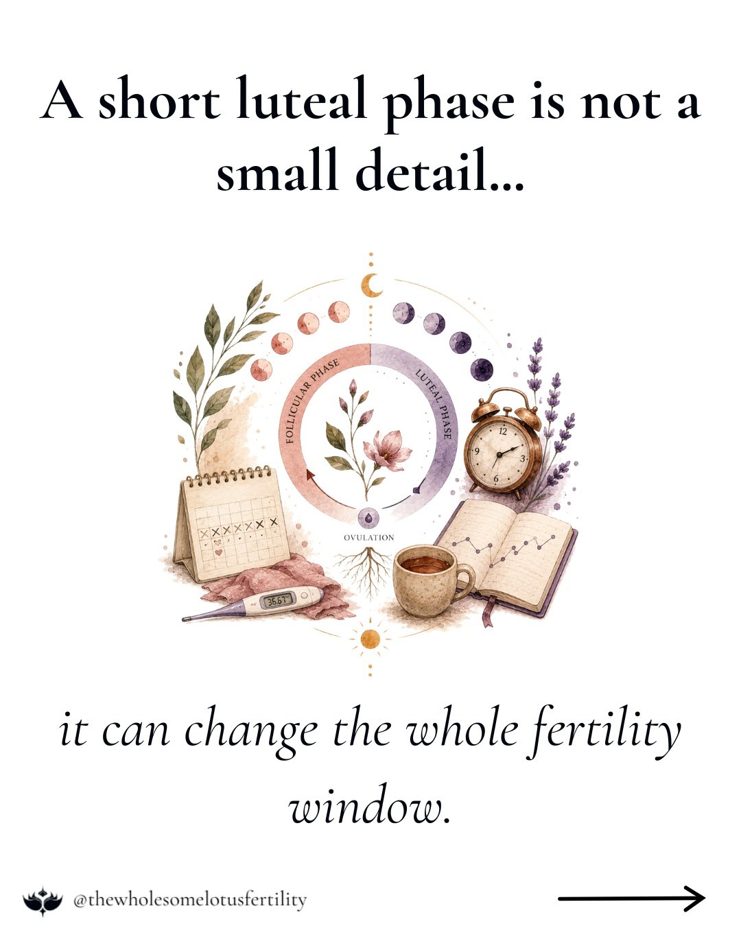 A short luteal phase is not a small detail.

The luteal phase is the stretch of time between ovulation and your period, and it carries more weight than many people realize. This is when your body builds and maintains the uterine lining for a possible