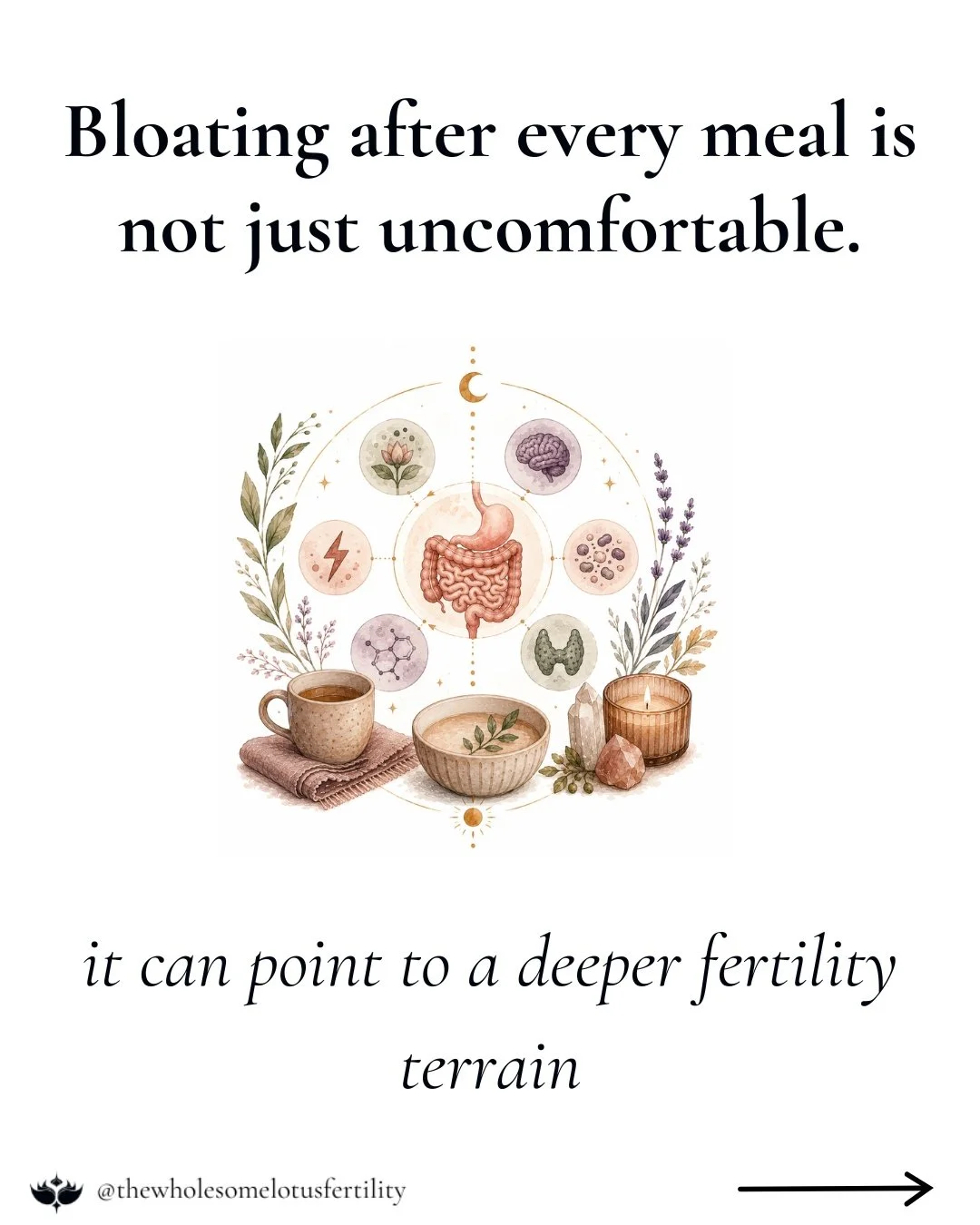 Bloating after every meal is not just uncomfortable.

It can be a sign that your digestion is asking for support.

Your gut and fertility are deeply connected because how well you break down and absorb food influences the nutrients available for your