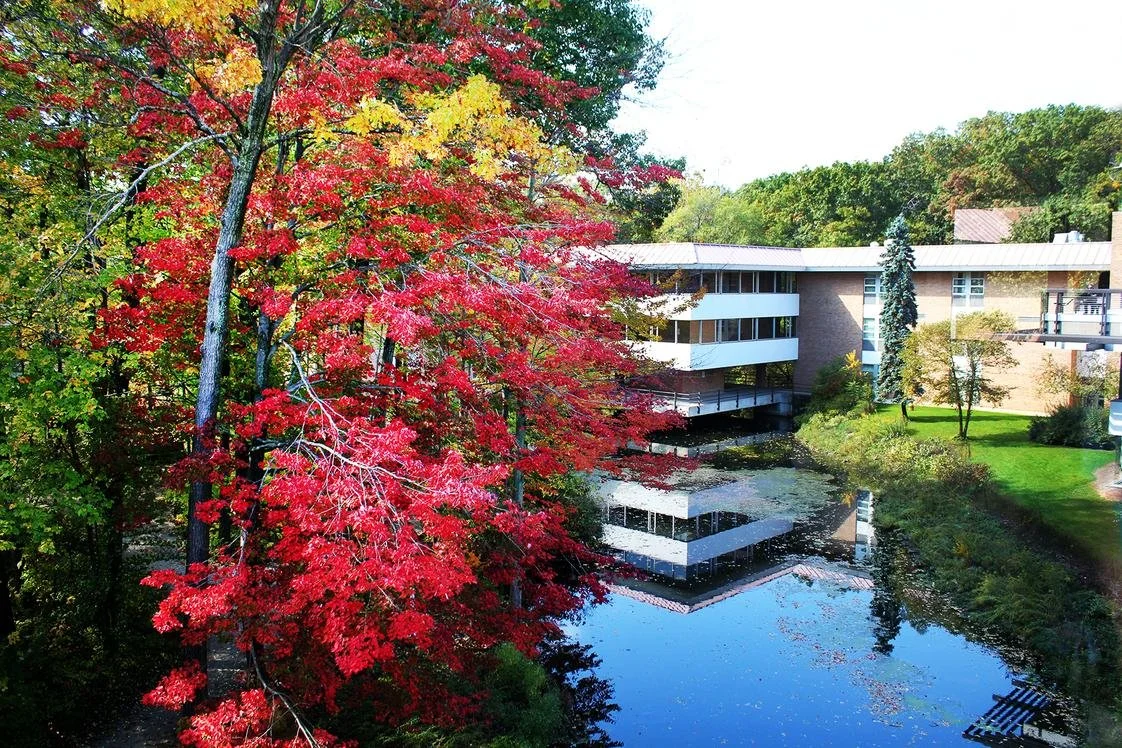 Collegiate Portfolio