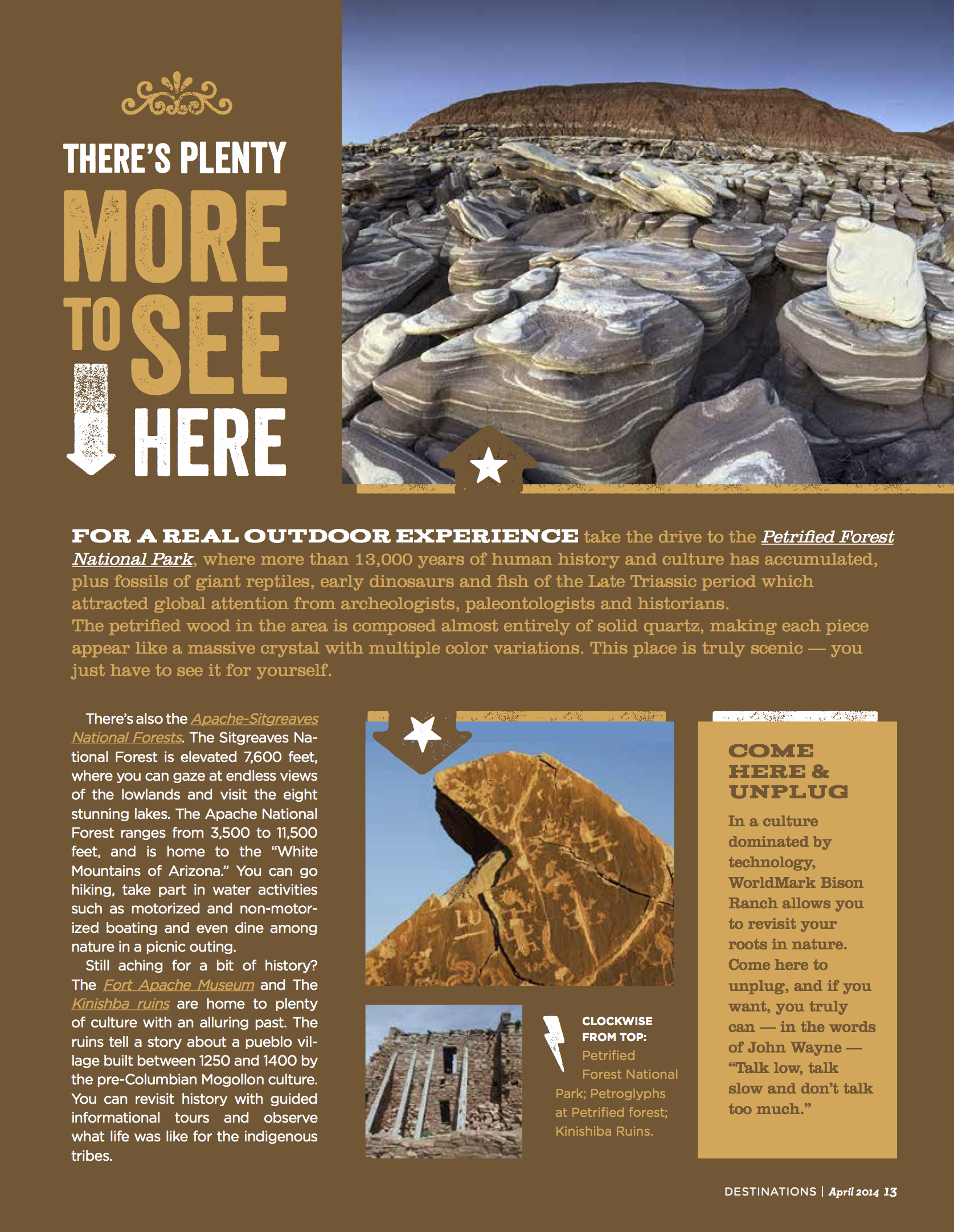 Melody Beuzelin_Feature 2 - Bison Ranch passion savage 3.png