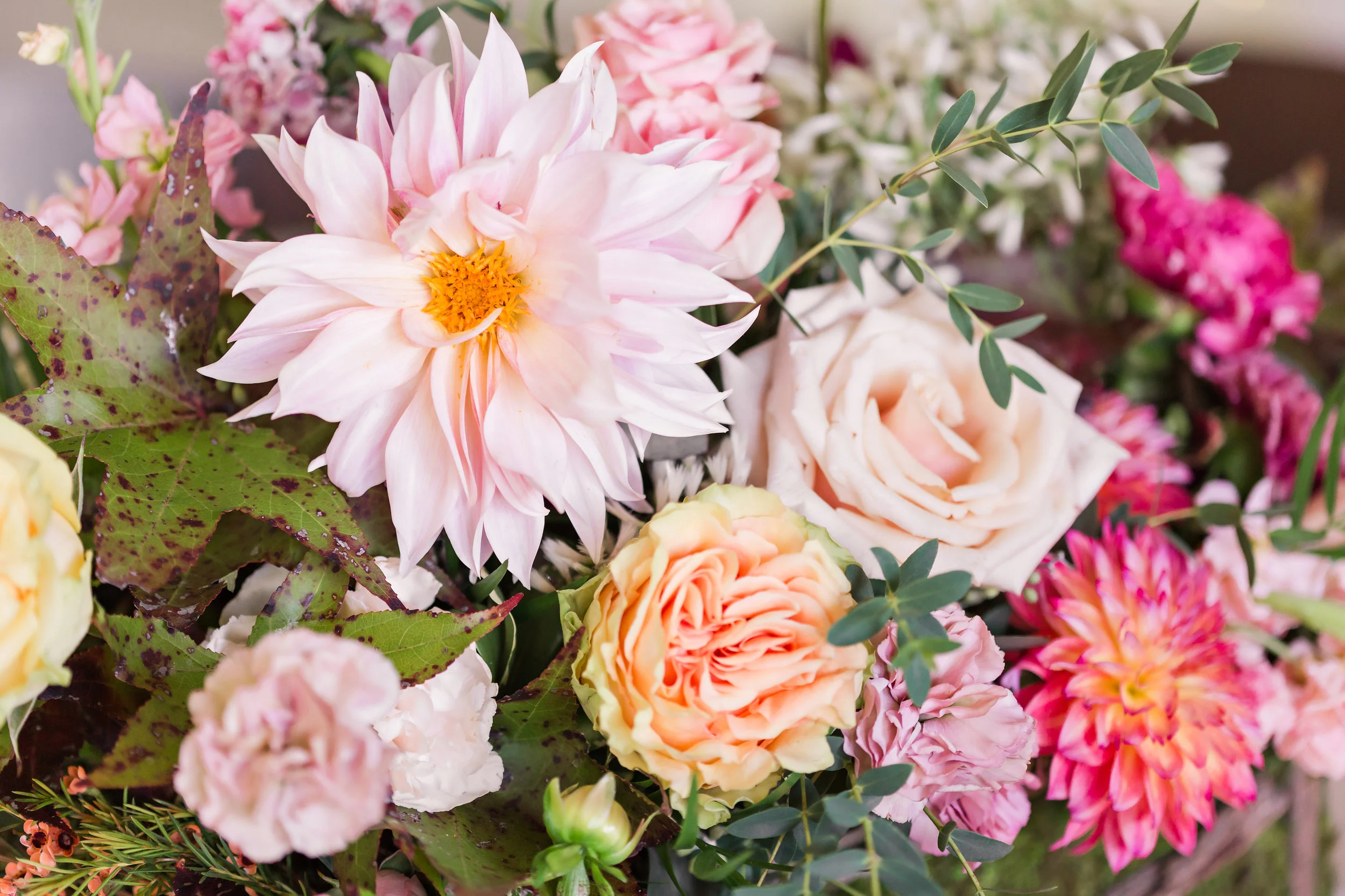 Courtney&Adam_WEDDING-325.jpg