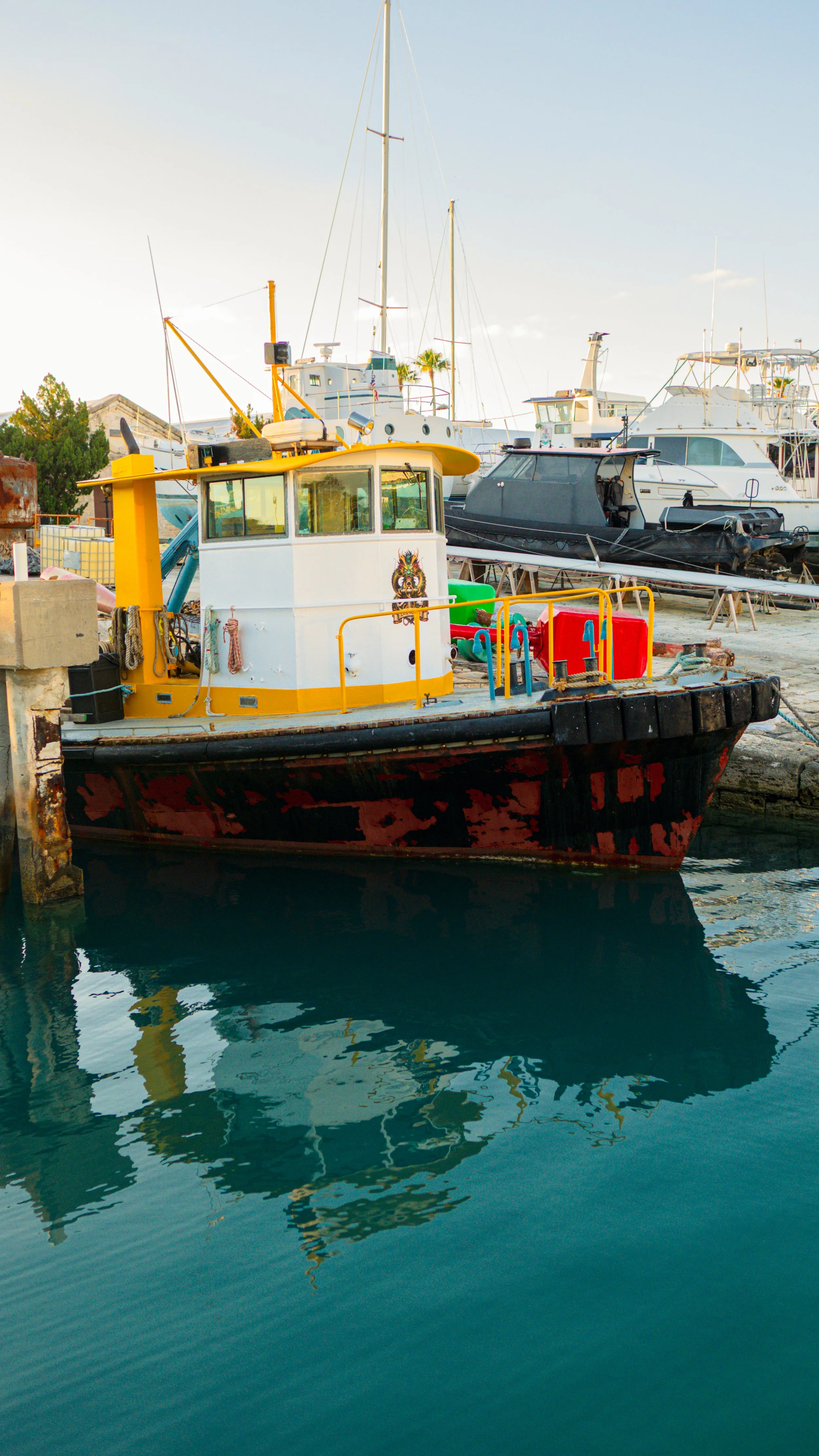 P1550103.jpg