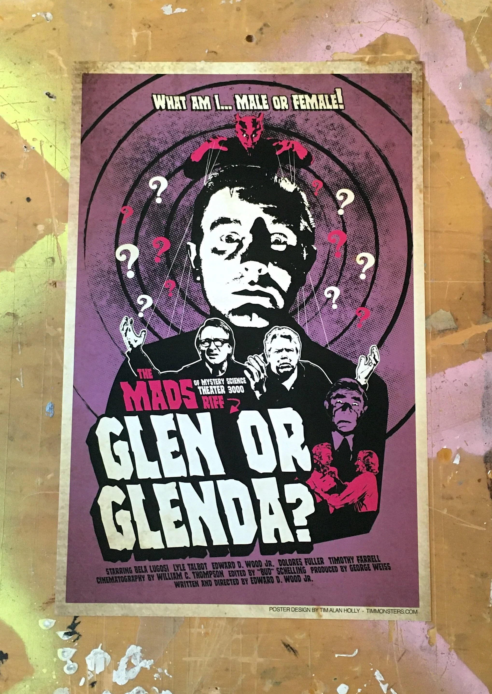 THE MADS - GLEN OR GLENDA.JPG