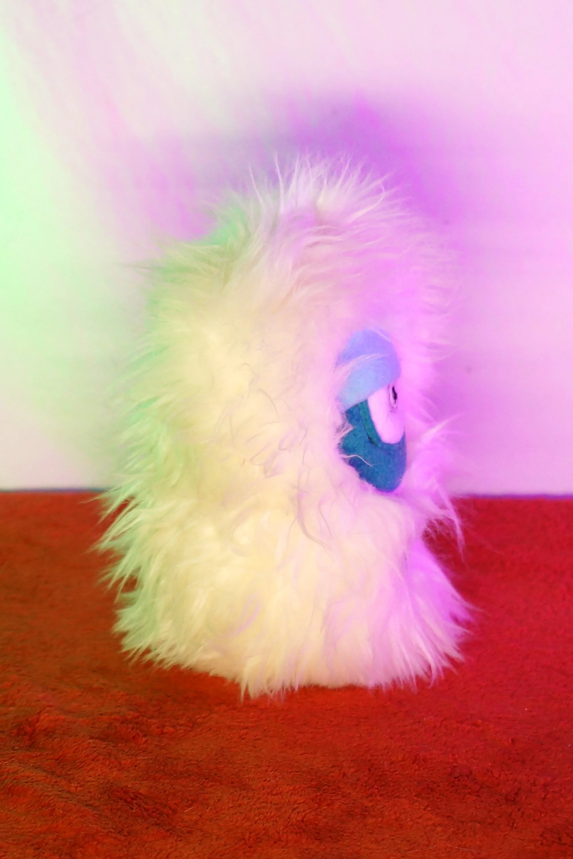 Small 1 eyed snow monster 3.JPG