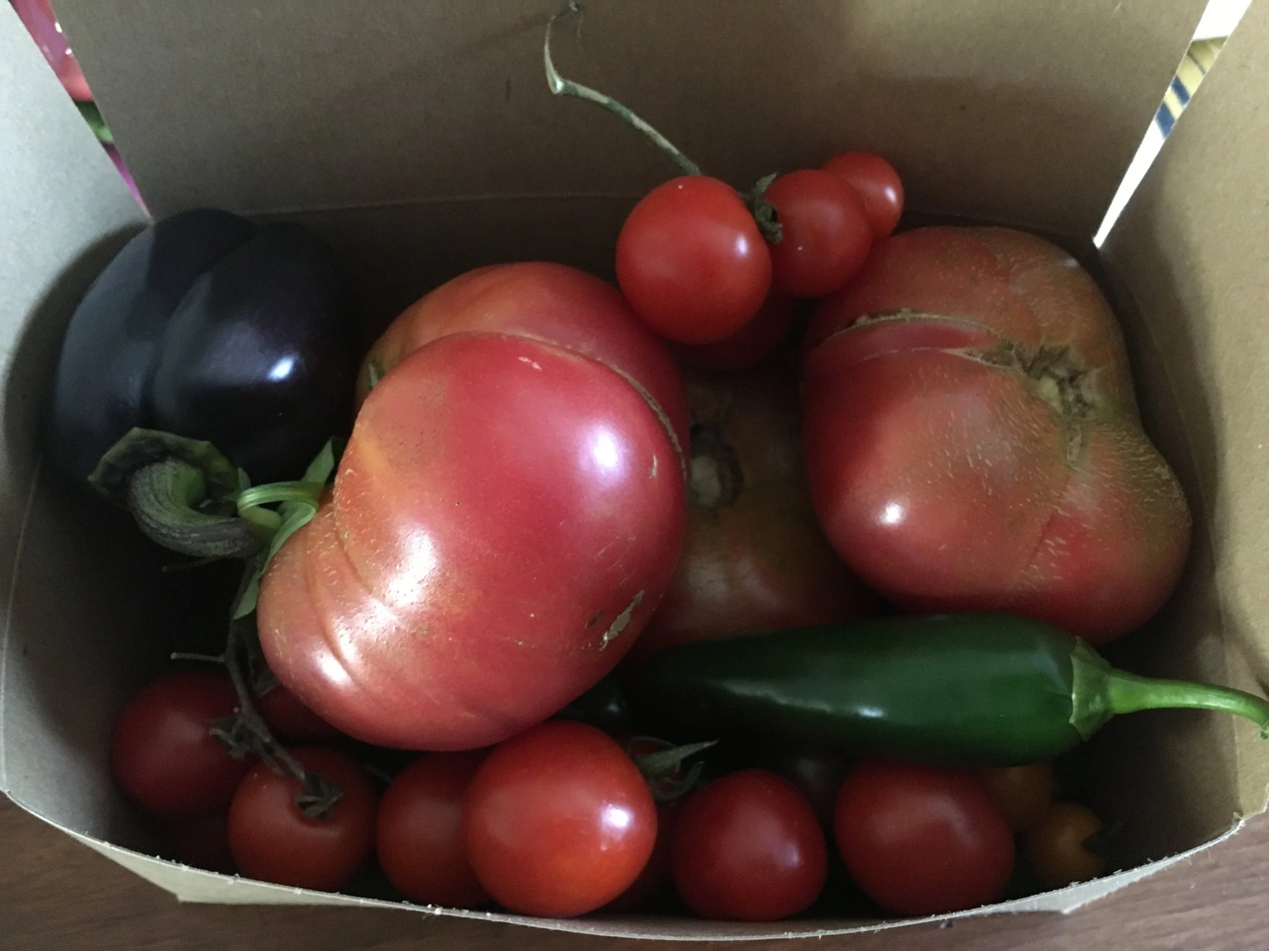 Interviewing gardeners has its perks: I went home with a package full of beautiful and fresh heirloom tomatoes, peppers and squash.
