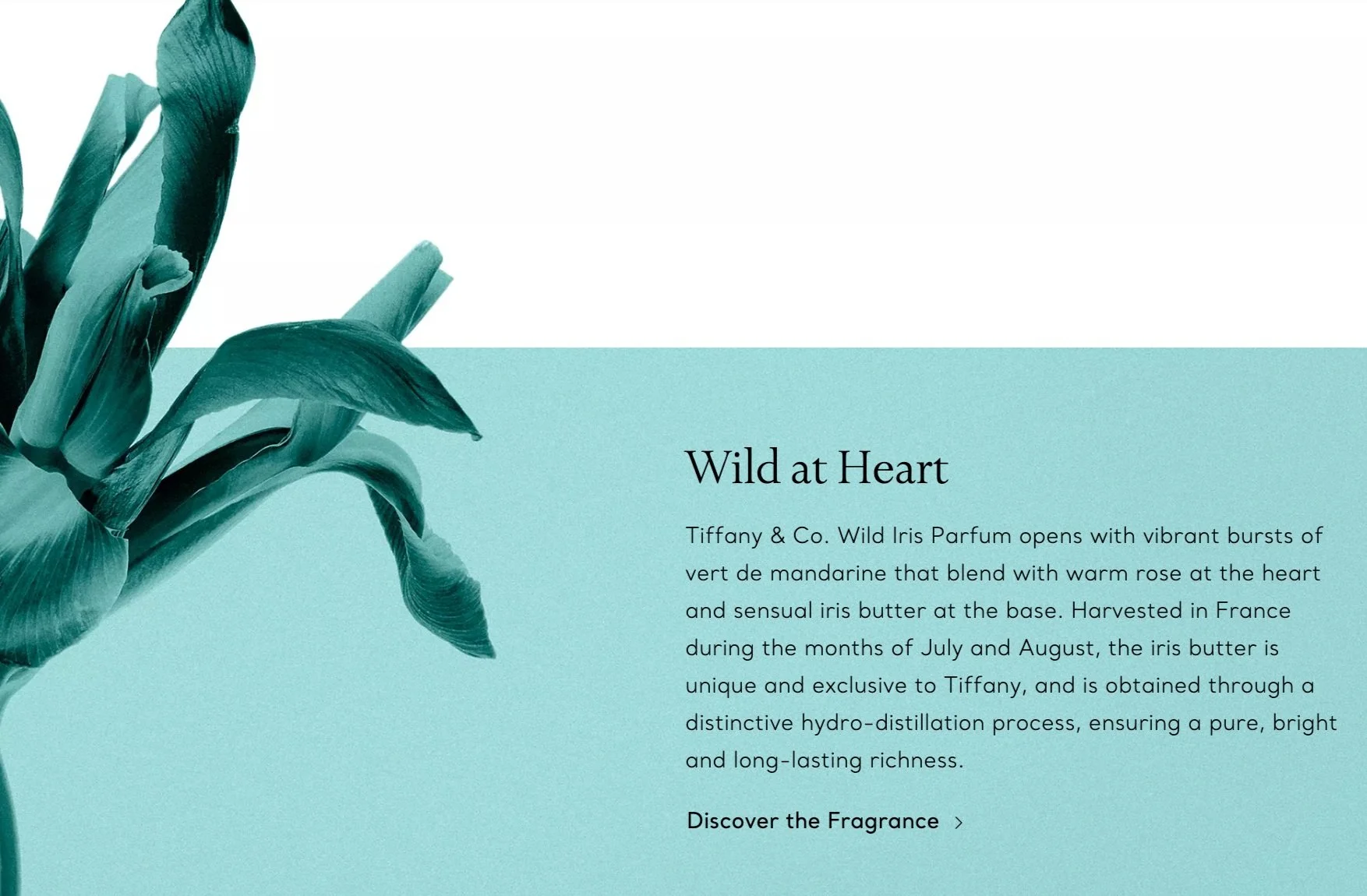  Created the name of Tiffany &amp; Co.’s first limited-edition fragrance. The Wild Iris parfum draws from the house’s signature flower and comes in a handmade Murano glass bottle with an 18k white gold funnel created exclusively for this fragrance. 