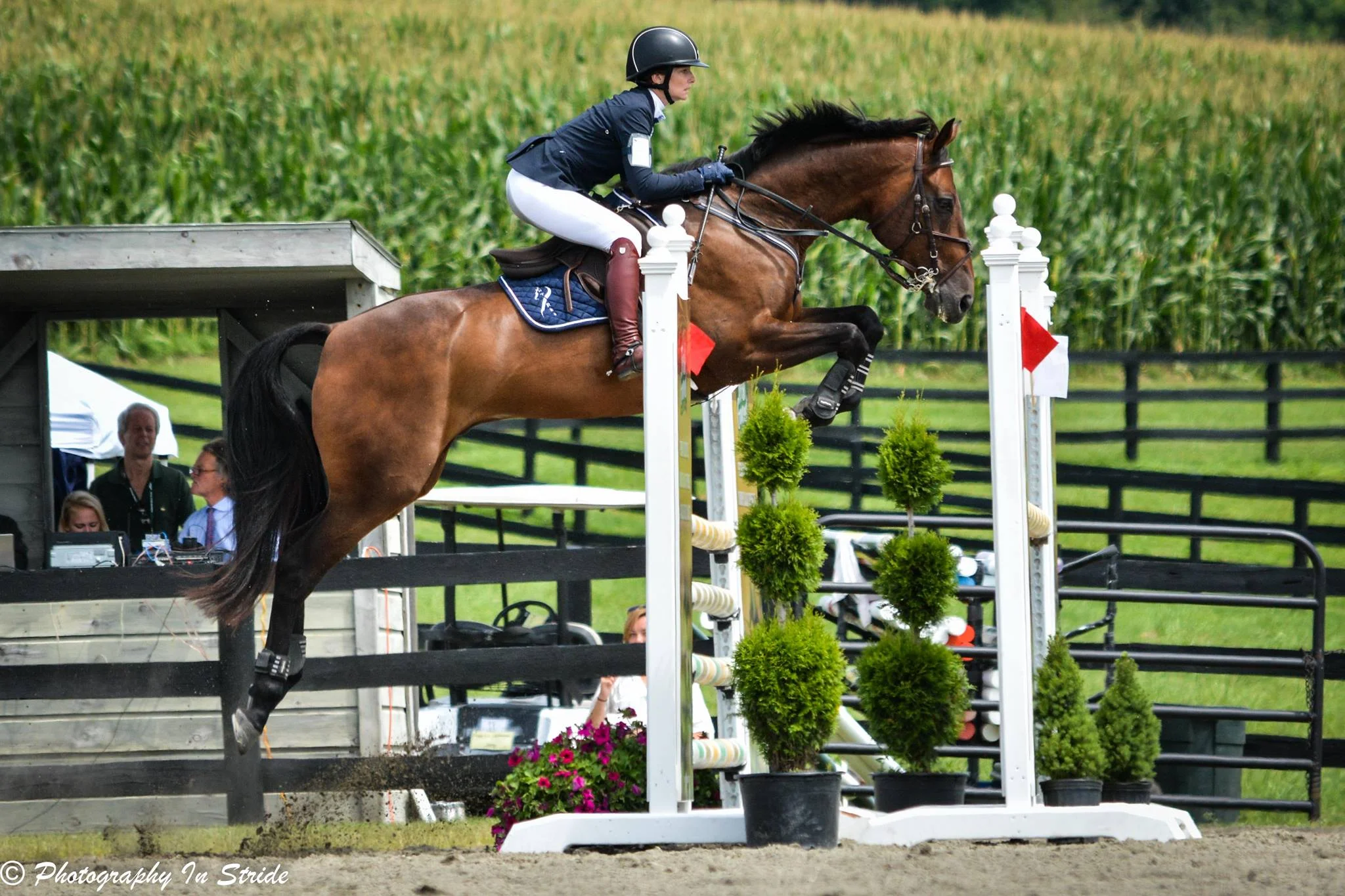 captainshowjump2millbrook.jpg