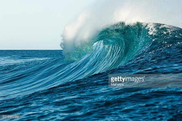 Photo by MaFelipe/iStock / Getty Images