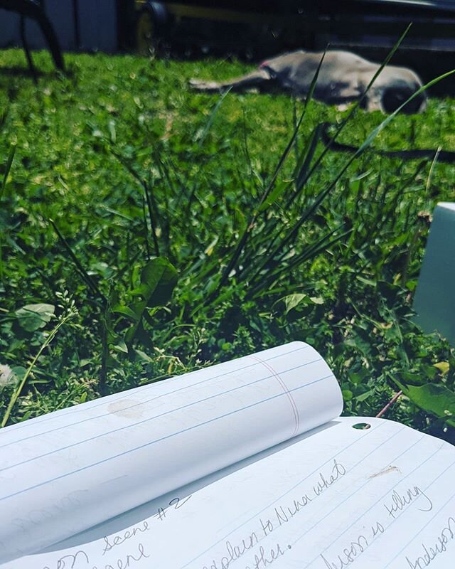 Writing and tanning. Yep that's #anniedadog enjoying her tanning session. #amwriting #rescuedog #pittienation #pitbull #chicago #enpilsen #writingcommunity #diversebooks