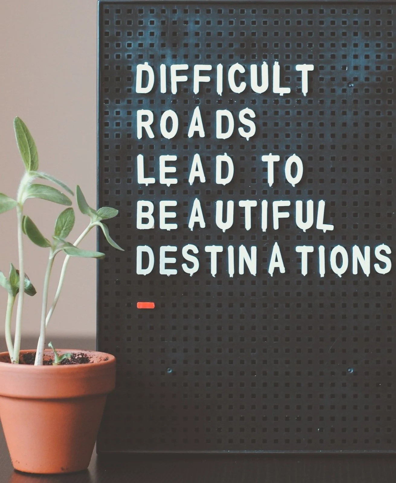 Patience &amp; Self-Care: A Must-Have Guide for Emerging, Latinx, &amp; BIPOC Writers Navigating the Submission Process