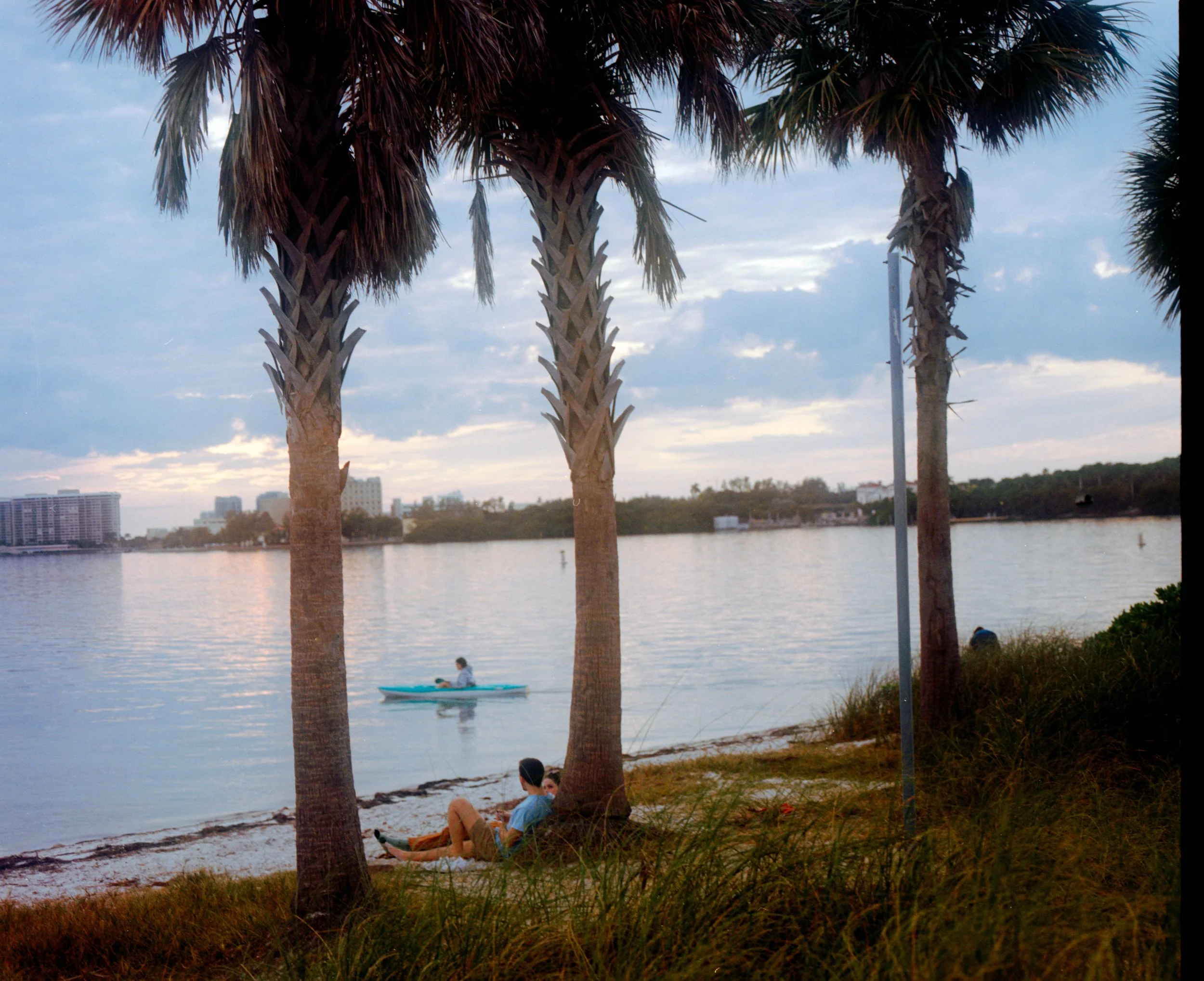 boat in the trees.jpg