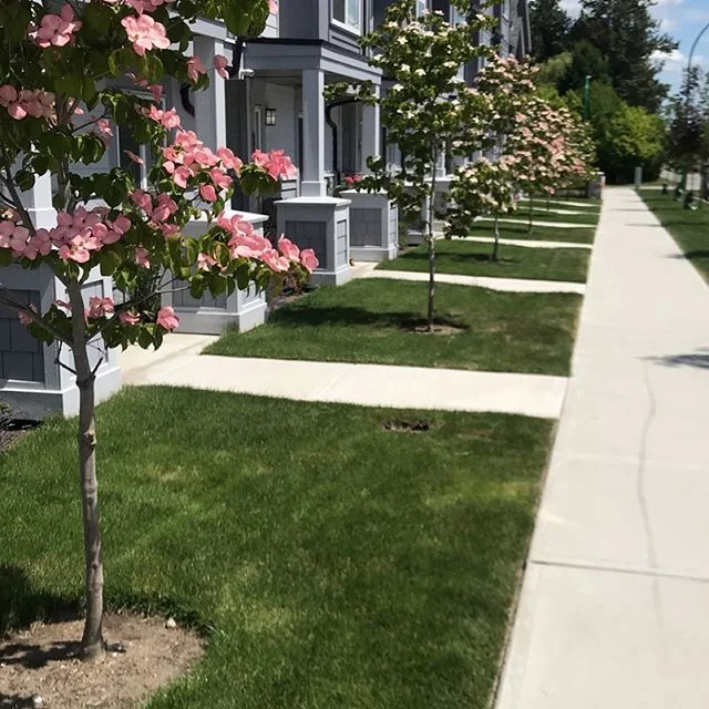 Summer is approaching sooner than later. Our homes feature gas furnace with Air Conditioning! ππΈ Please visit our website at www.claytonstation.ca for more information.Sales office is open daily 1-5 except Friday.Phase 2 is now available delivering in July 2019
19239 70th Avenue V4N 6S8
#claytonstation #realestate #showhome #youcanlivehere #forcedairgasheating #gasstove #swarnandpar #cloverdale #clayton #moveintoday #dreamstar #fraservalley #townhome #fvreb #homelife #3bedroom #walkinpantry #parklike #airconditioning #whybuyused #luxurytownhome #doublegarage #home #community