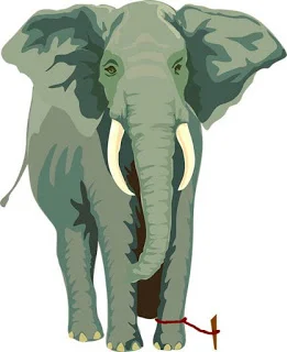 elephant.jpg