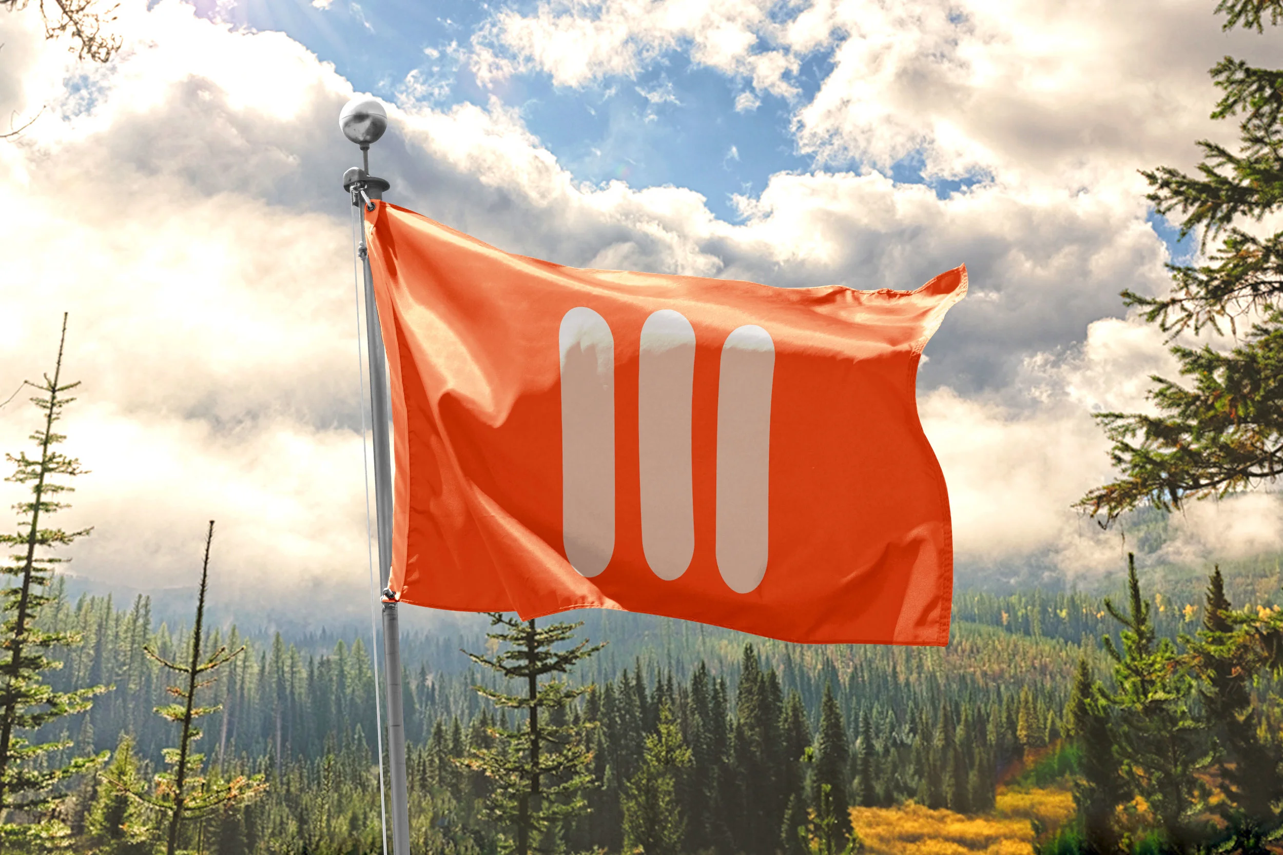 FLAG.jpg