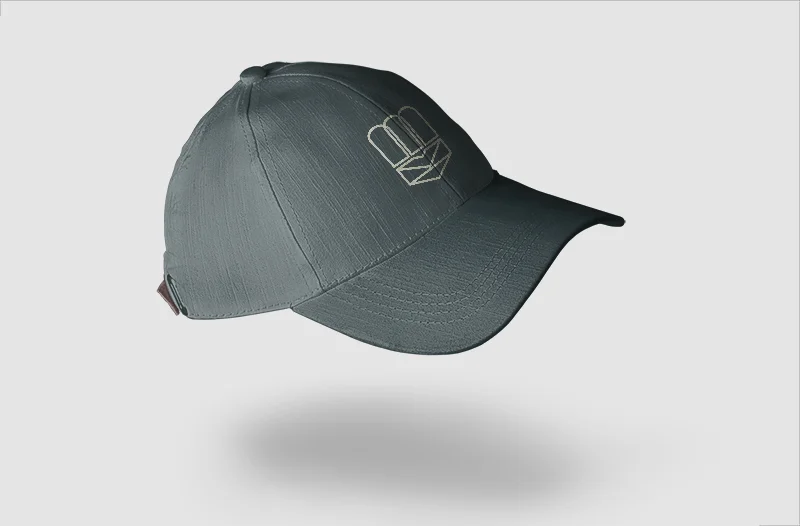 BSA_CAP.jpg