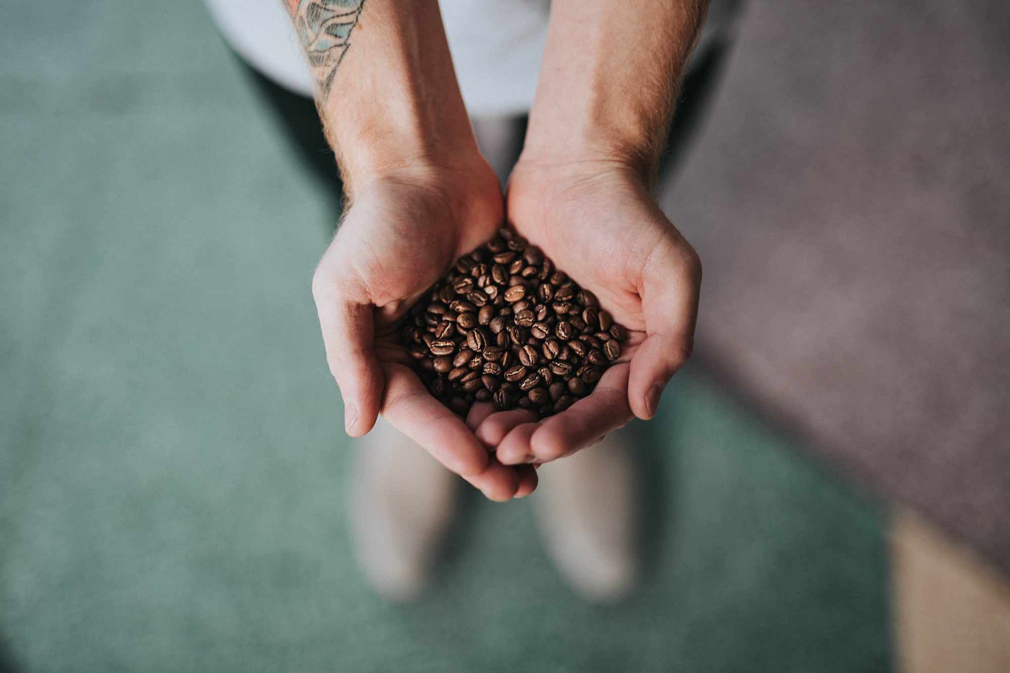 beans1.png