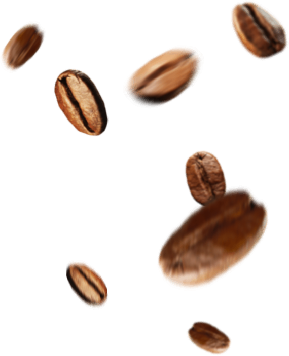 beans.png