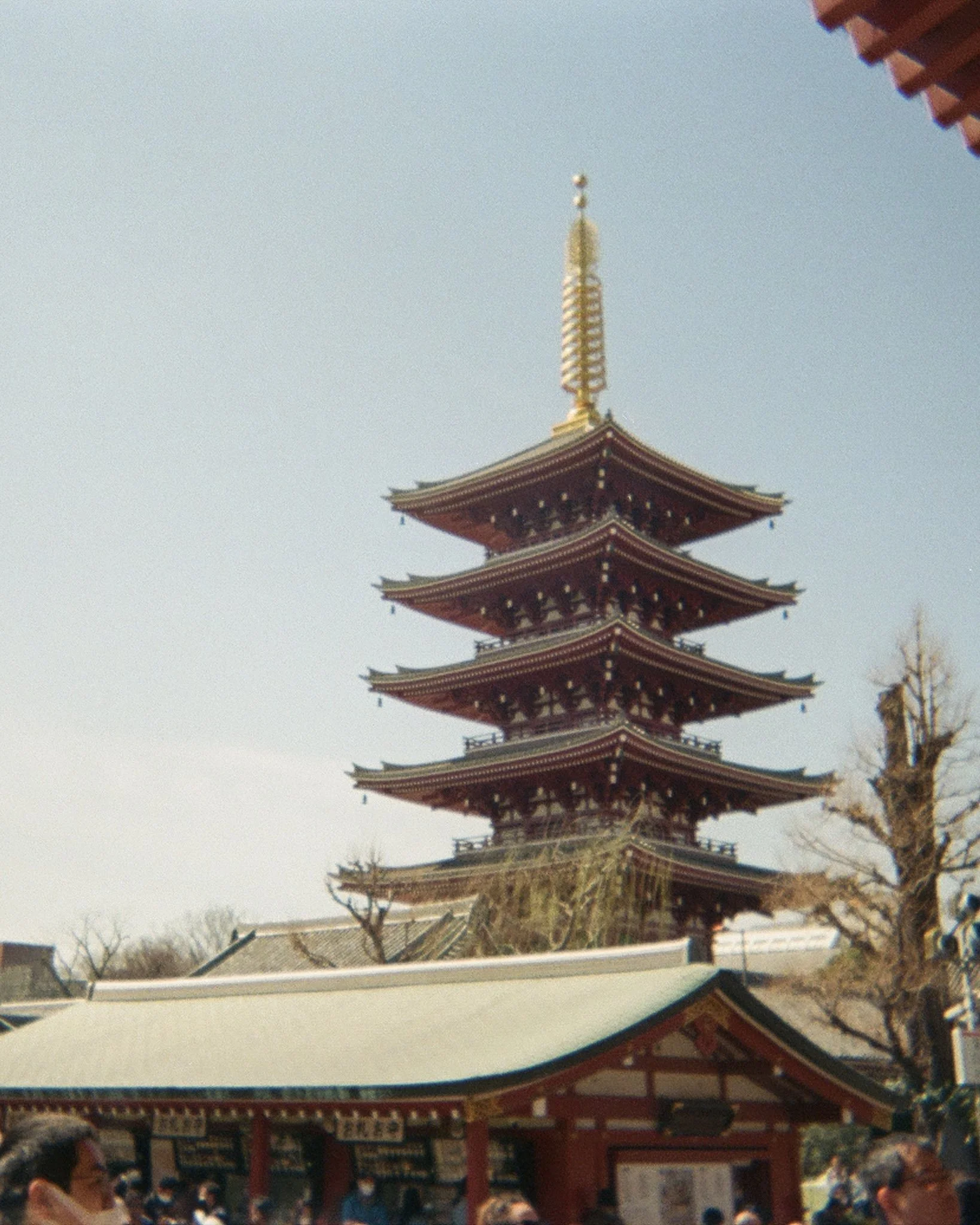 001619430014.jpg