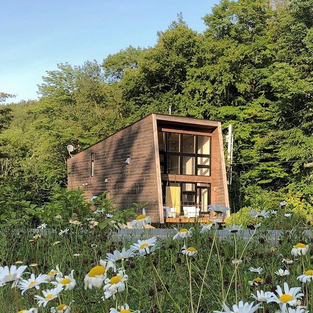 Thanks to all of our lovely guests who booked the Green Mountain Modern House this summer. We are now 100% booked through end of August! If you didn&rsquo;t get a chance to reserve your spot, feel free to message us if you&rsquo;d like to be added to