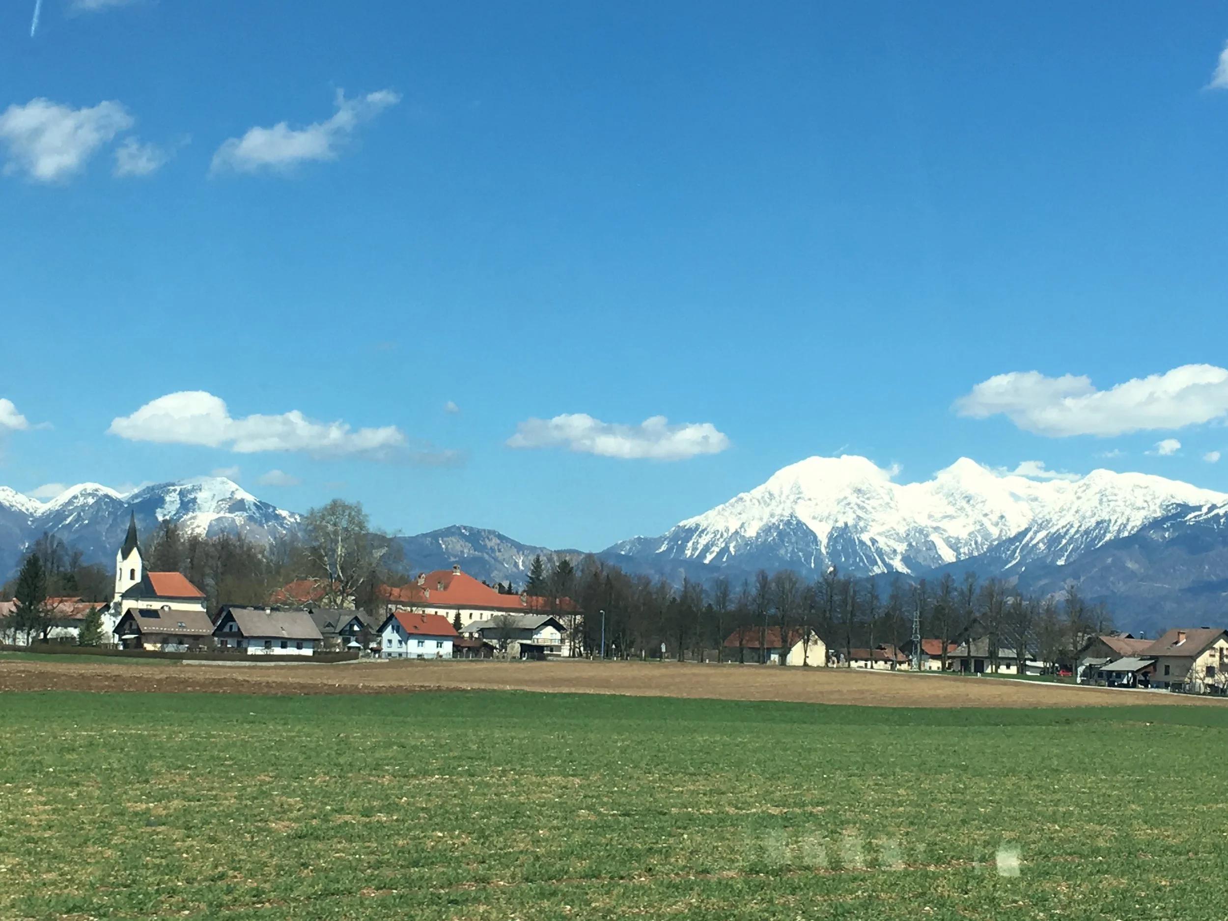 3 Things People with Intellectual Disabilities Know about Success that You Don’t: 8 Minute Read