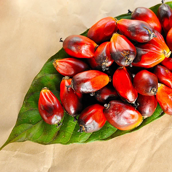 soap-ingredient-palm-oil.jpg