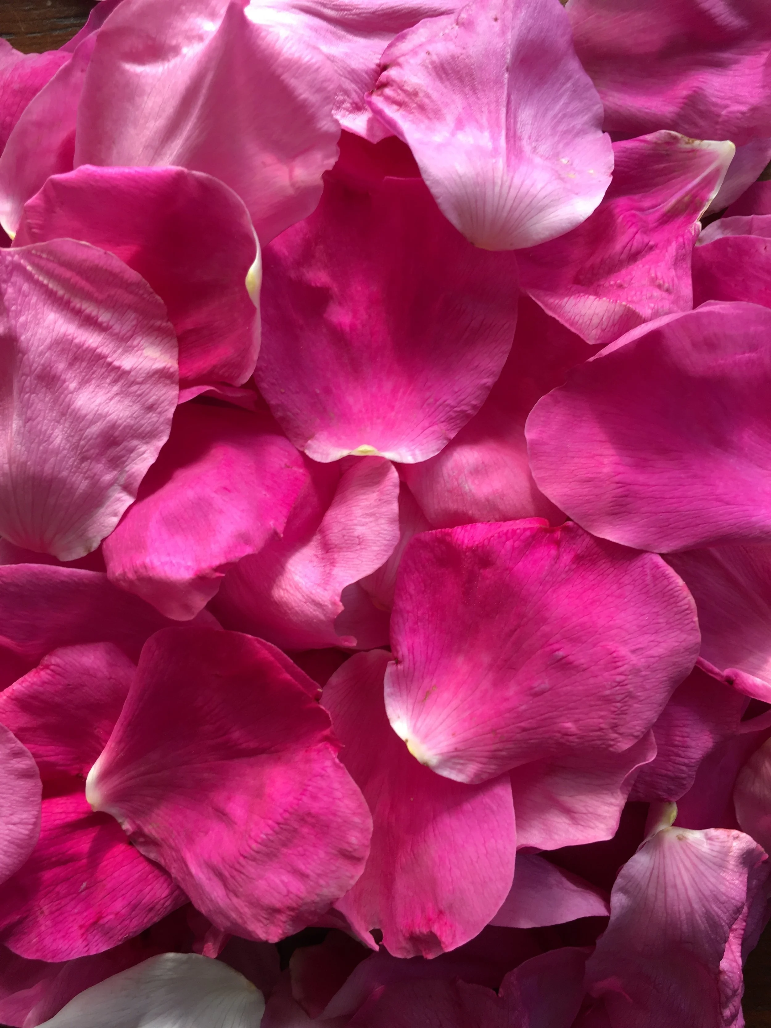 B63E1436-764F-4816-B782-F821039C7DBB