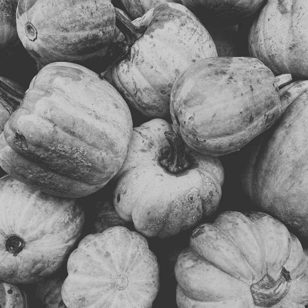 🍂3 days only🍂The Fall Restock + Sale
Save 15% on select items 
.
Dear friends,
Thank you so much for your patience as I prepared the Fall Restock + Sale. This is not the exact sale I anticipated running as I had to simplify. The surprise I mentione