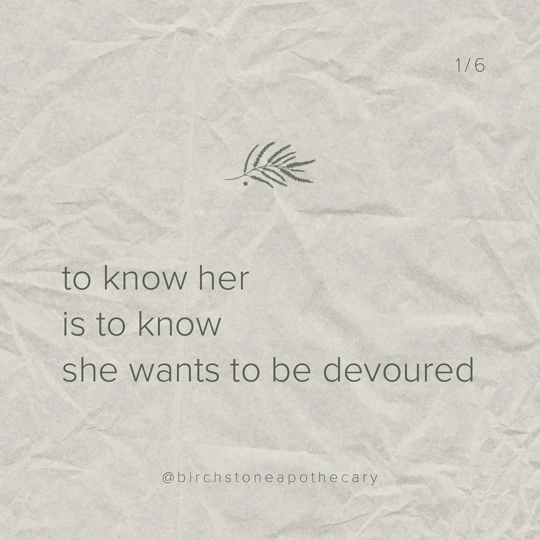 Forever in awe of this beauty-full plant👇🏼
The wild beach rose
.
Strong and fierce yet oh-so-gentle.
If you respect her entirely, she&rsquo;ll let you in.
.
if you love the botanical world, I think you&rsquo;ll love our newsletter! 
.
Join today th