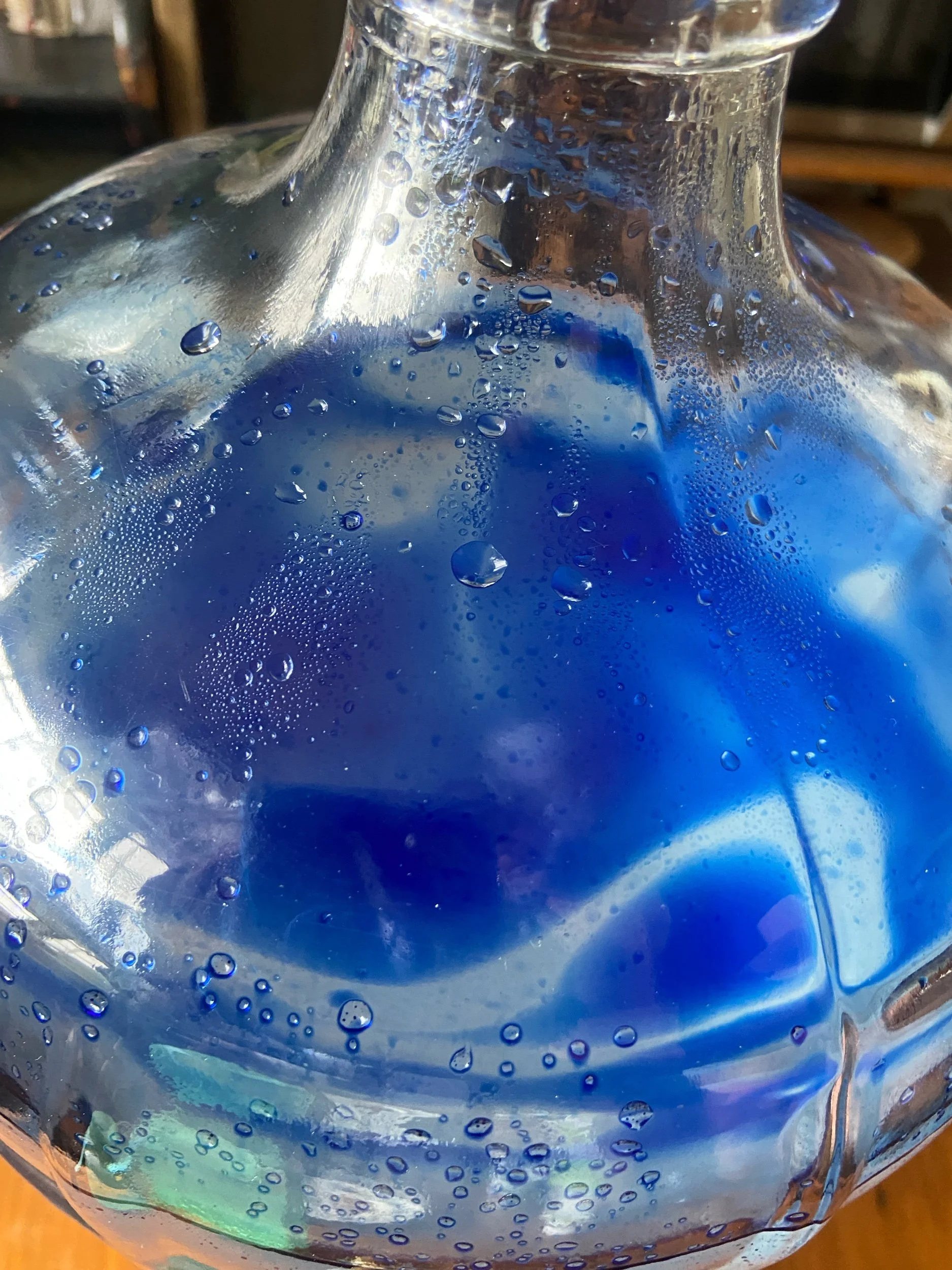 Blue Yarrow Hydrosol emerging during steam distillation