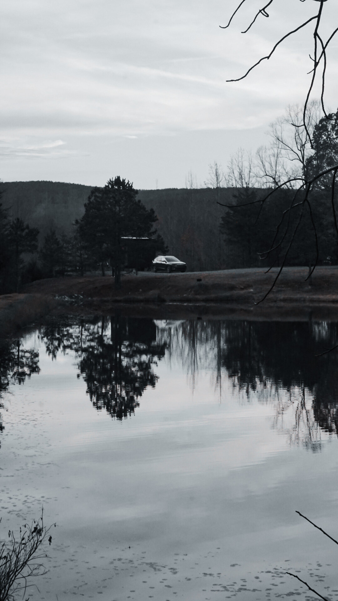 A9A75B27-D6B3-40F7-BC2B-3117F5F57B25.jpeg