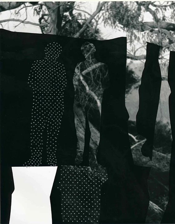 Chrissy Huntsman Photomedia