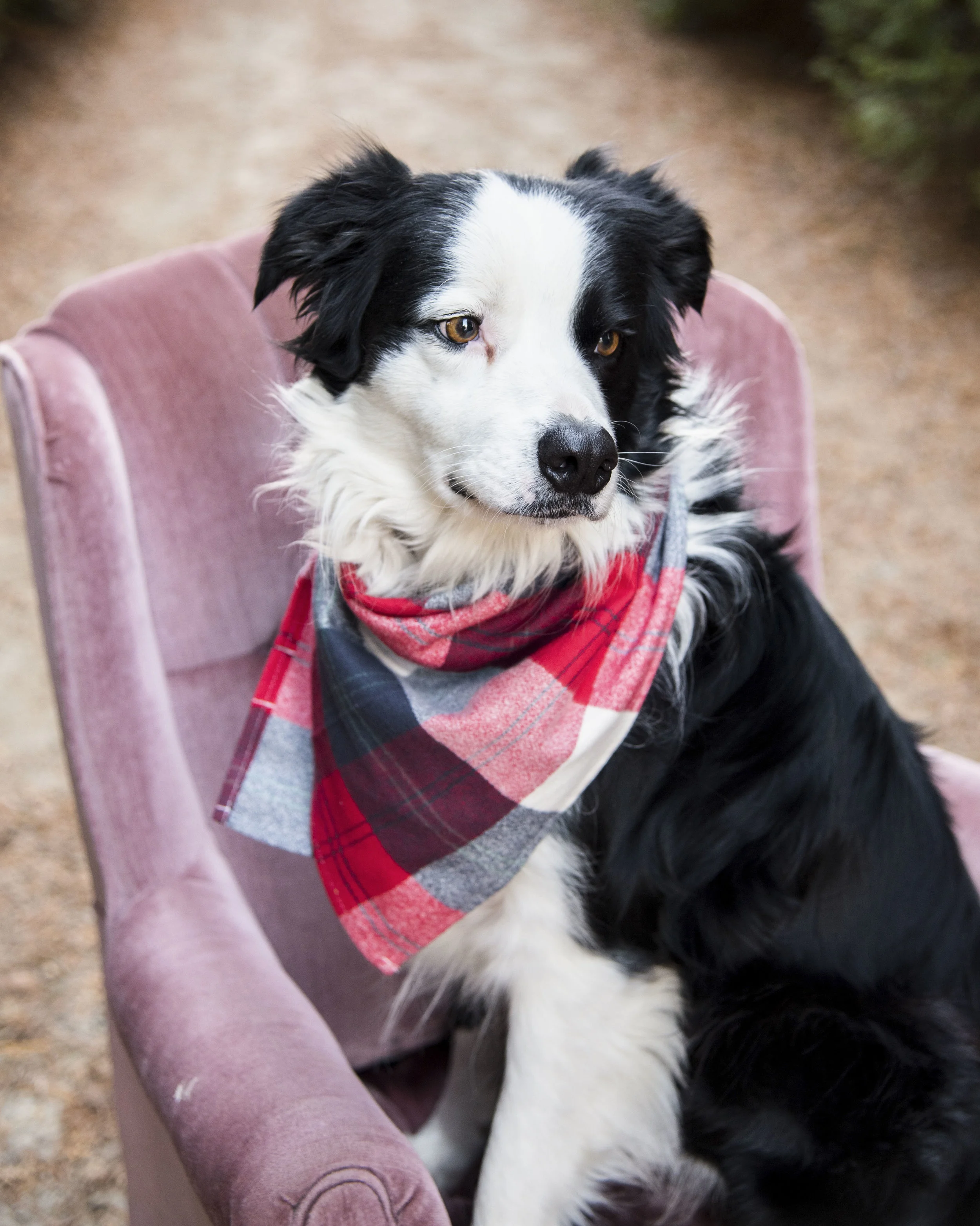 kiptreefarm (48 of 83)_1.JPG