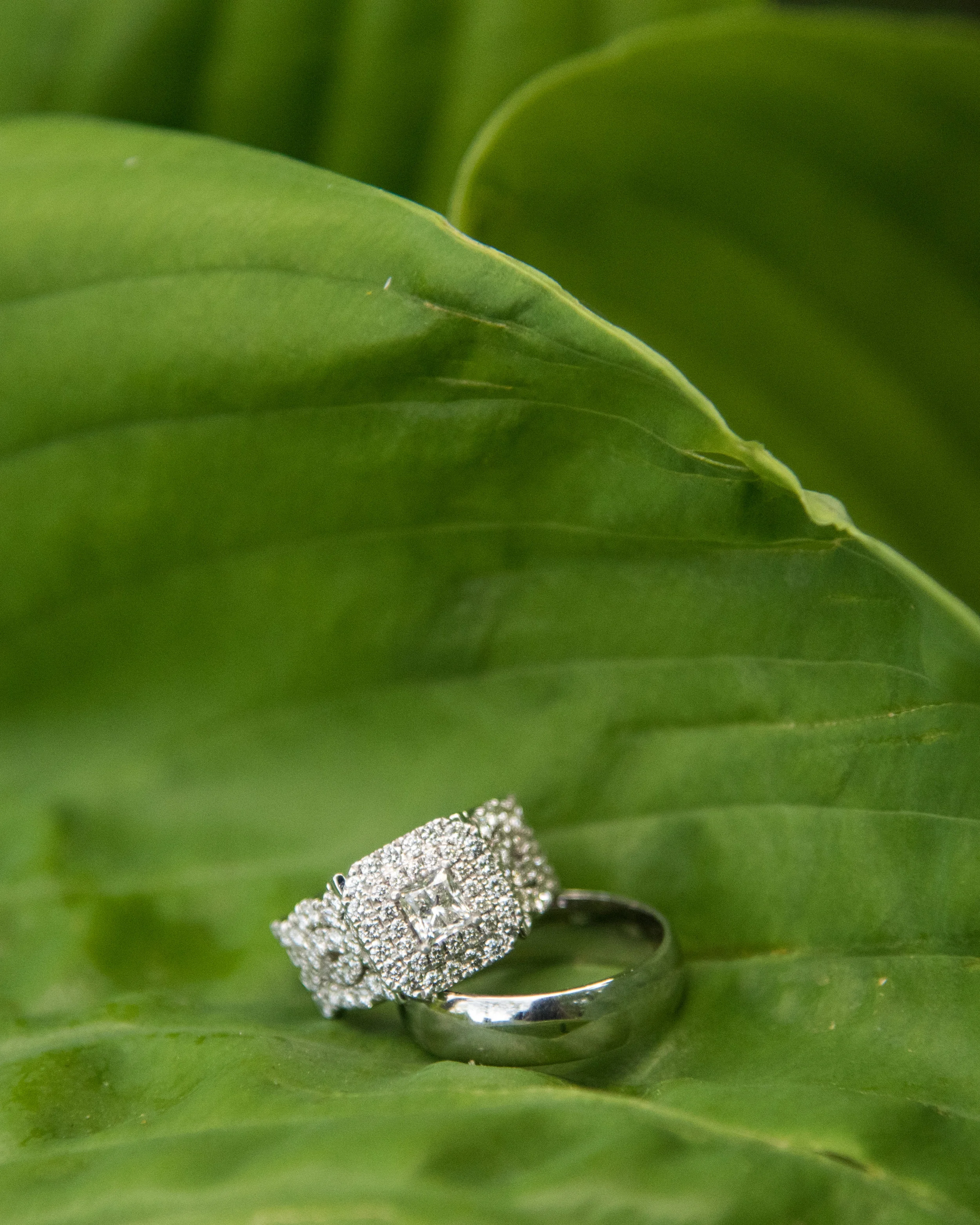 sneakpeek (12 of 50).jpg