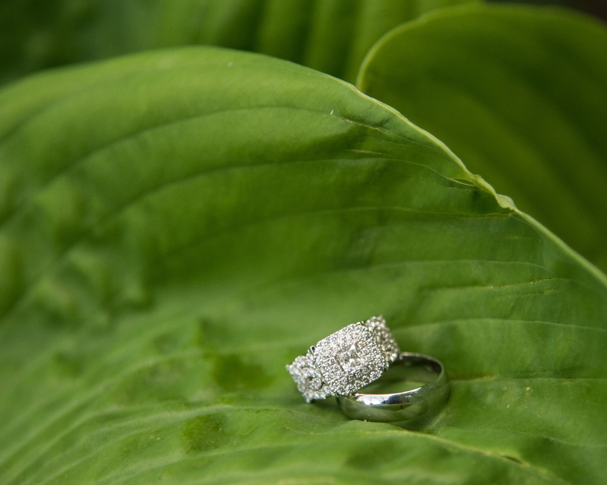 sneakpeek (11 of 50).jpg