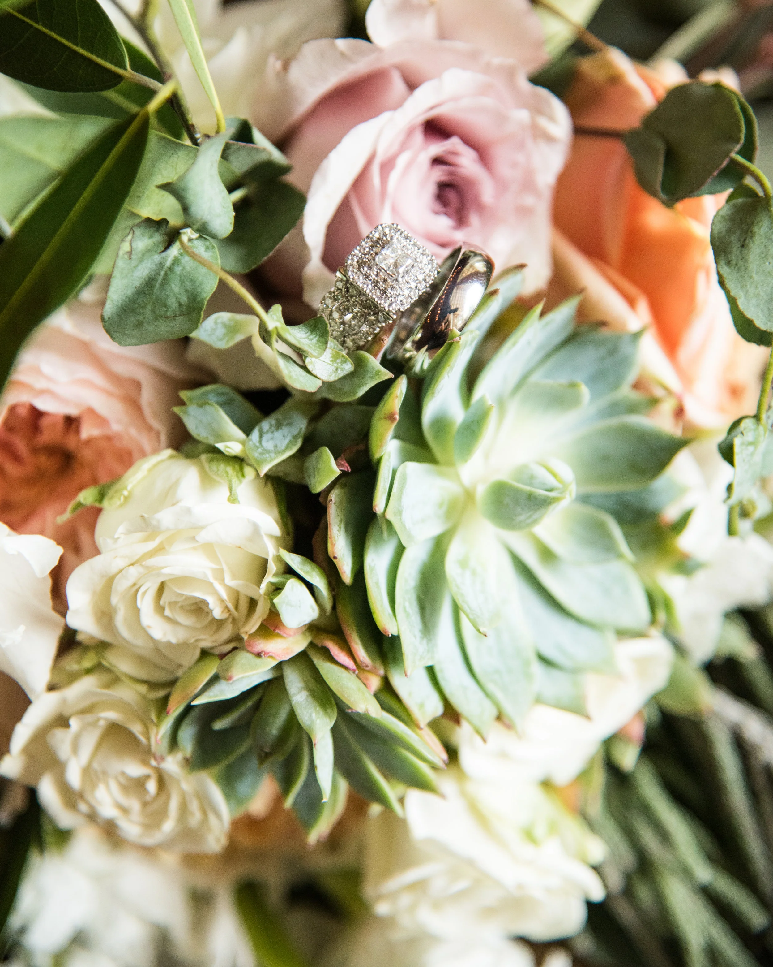 sneakpeek (19 of 50).jpg