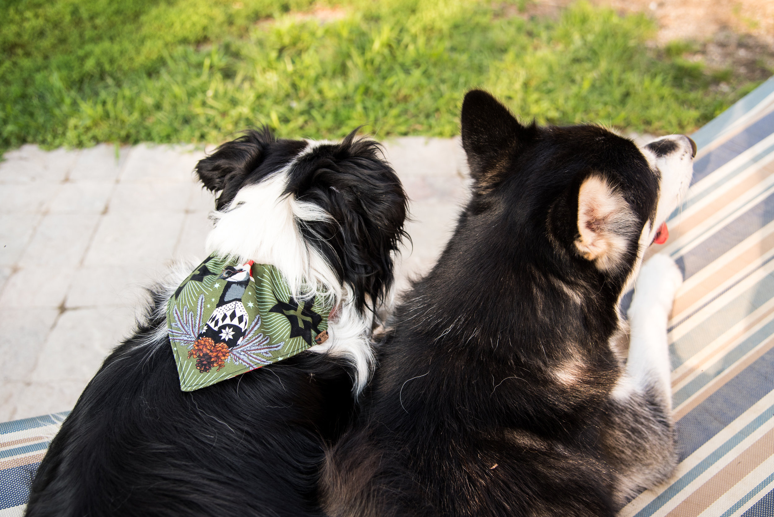 Bandana (39 of 71).jpg