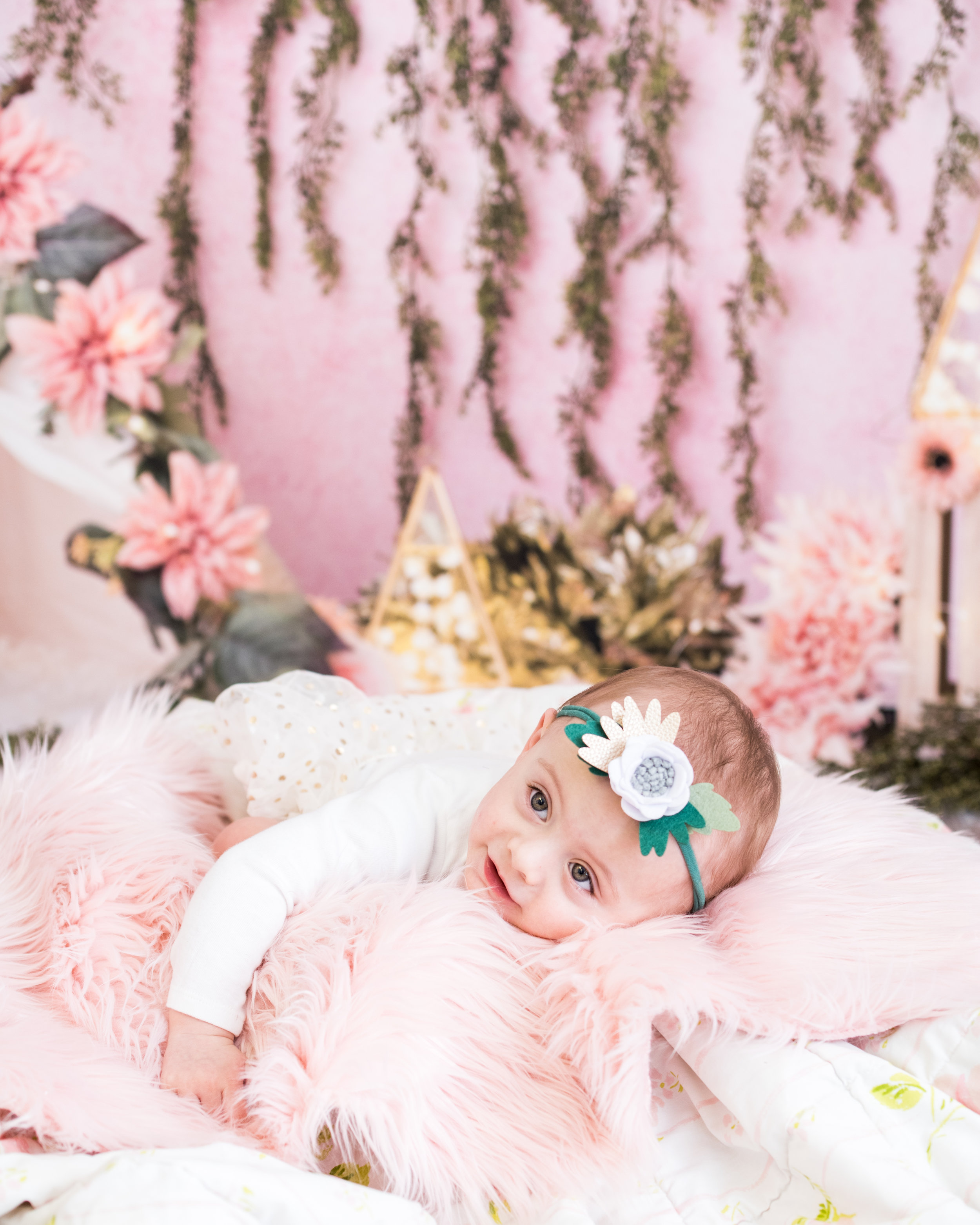 Quinn (3 of 33).jpg