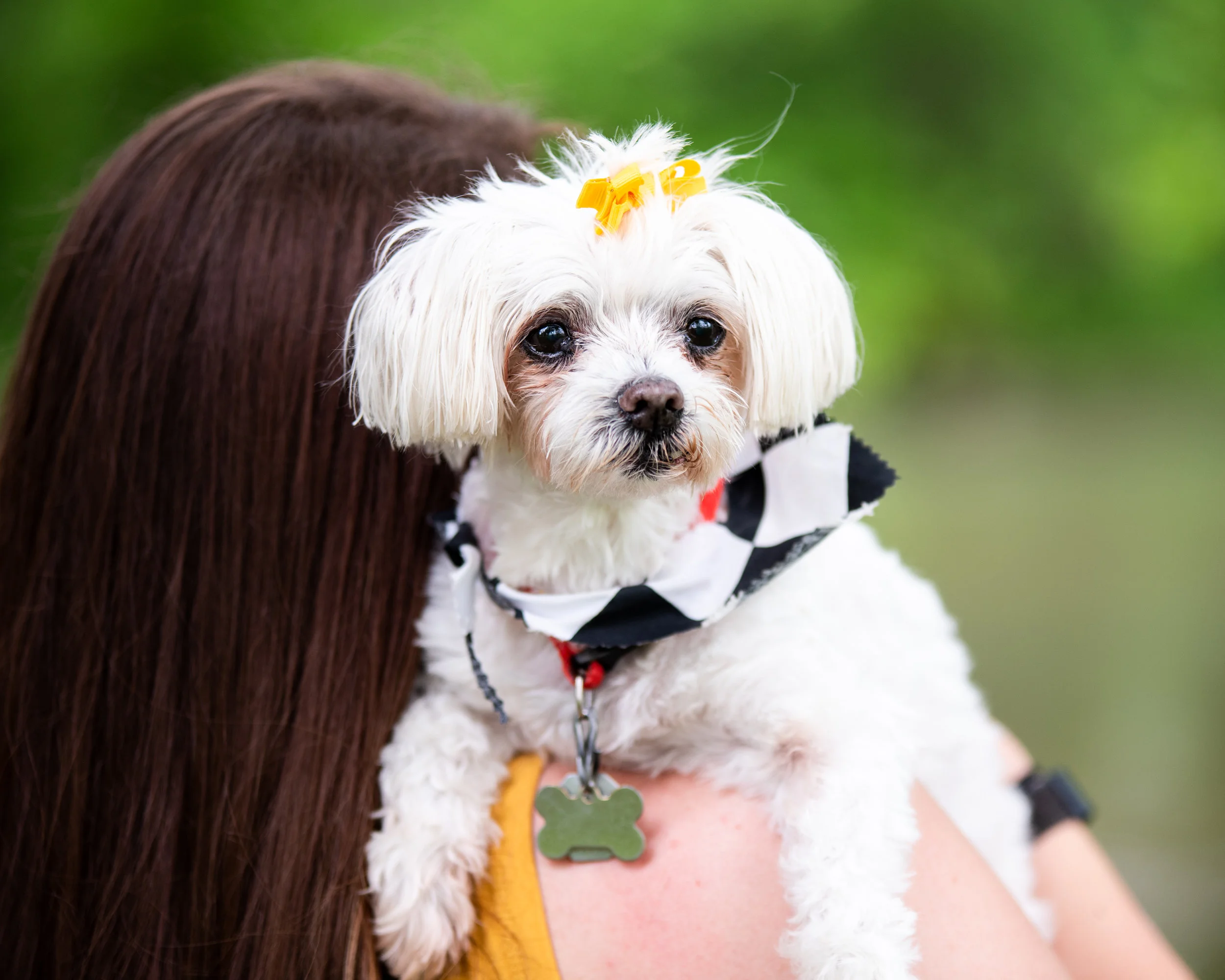 Gypsy Riley Riley With Her Dog Gypsy — Kyla Jo Photography