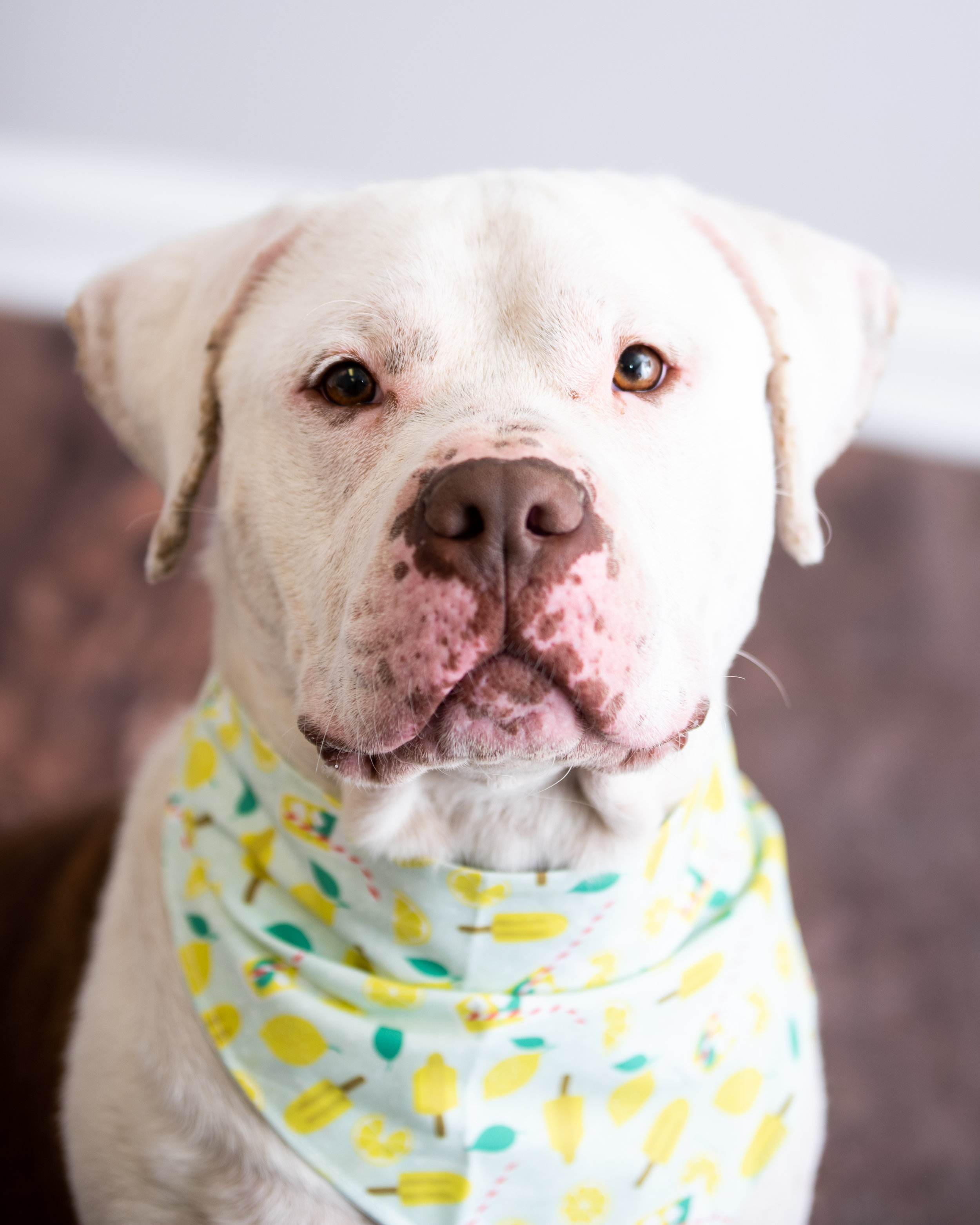 titus (2 of 58).jpg