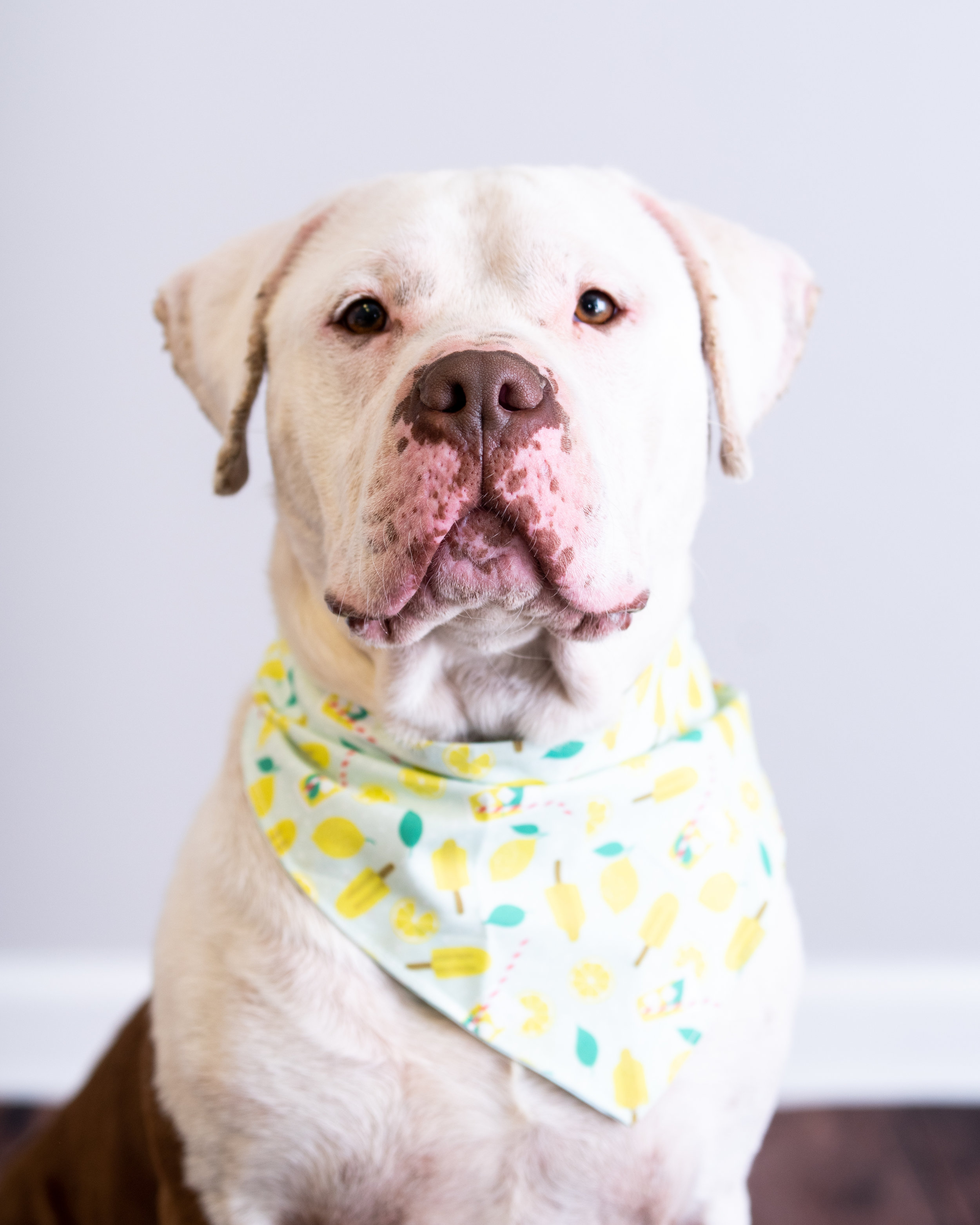 titus (12 of 58).jpg