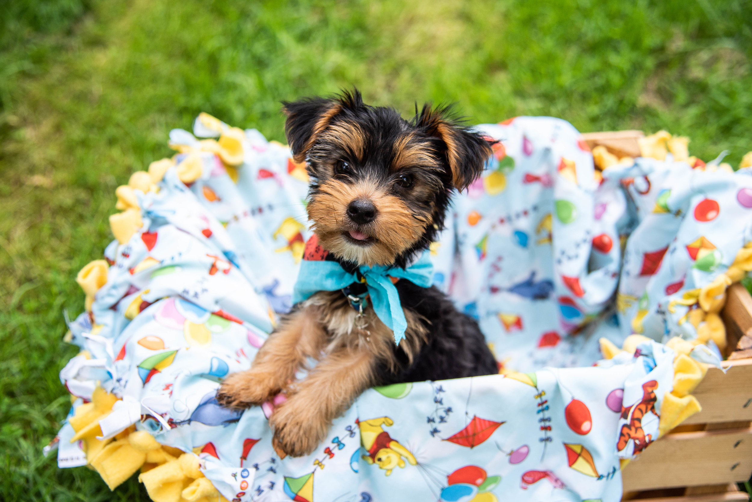 WINNIE+(23+of+42).jpg