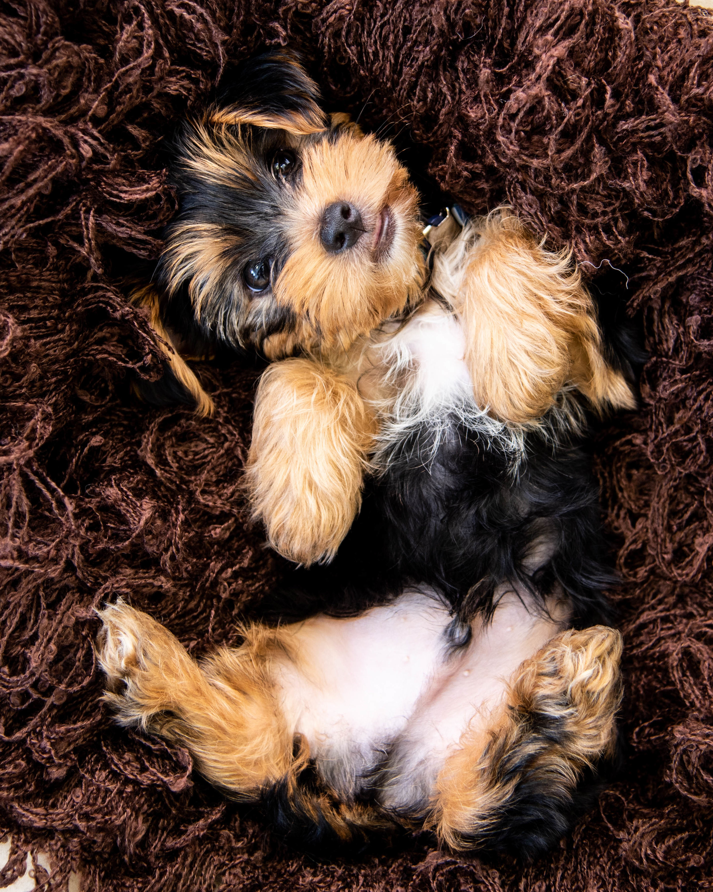 WINNIE+(38+of+42).jpg