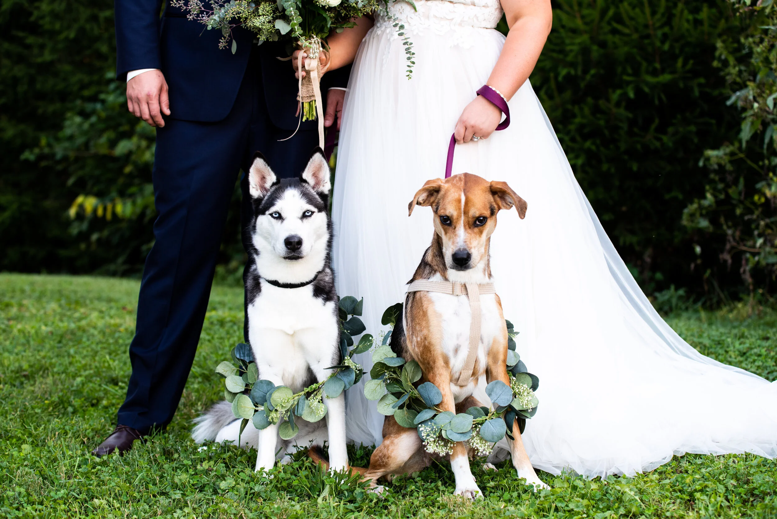 Kyla+Jo+Photography+Muncie,+Indiana+Dog+in+Wedding.jpg