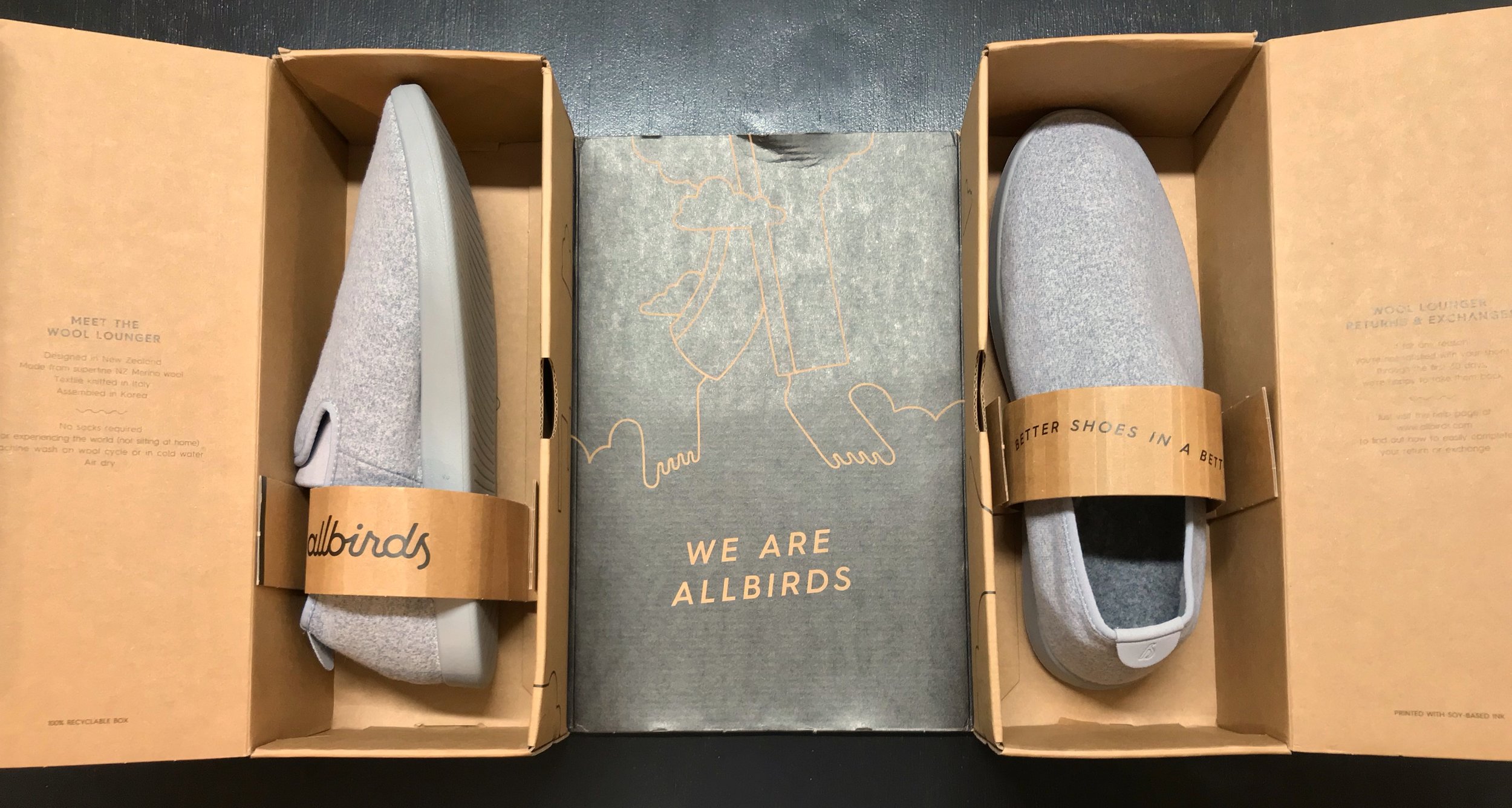 allbirds loungers review