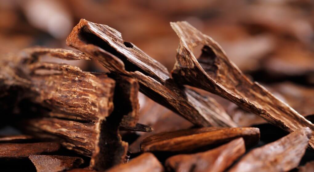 Sandalwood-Essential-Oil-1020x560.jpeg