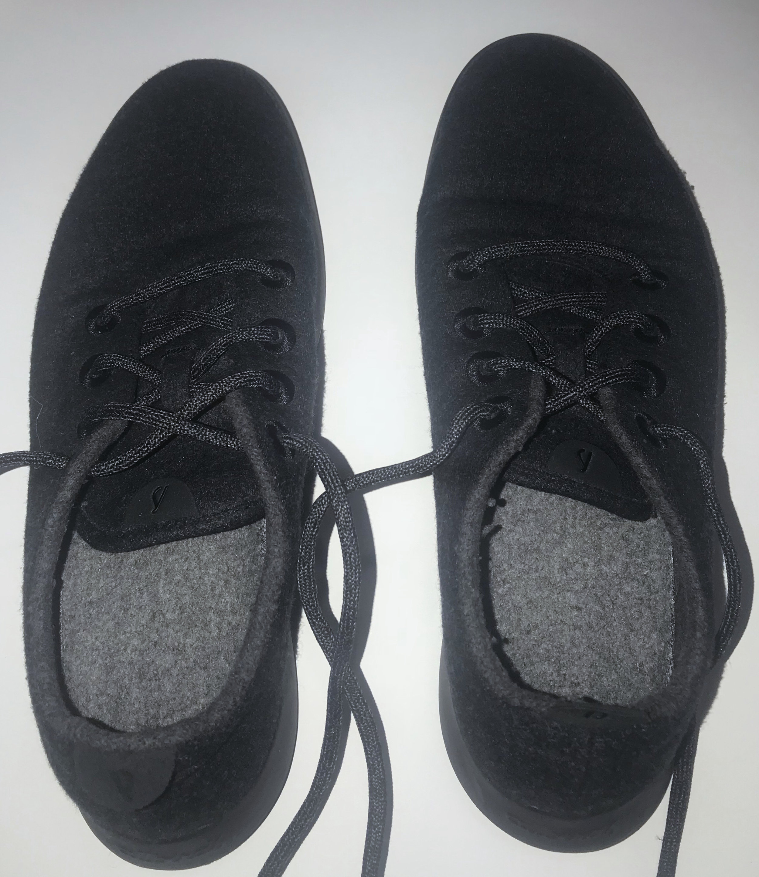 Allbirds smell sale